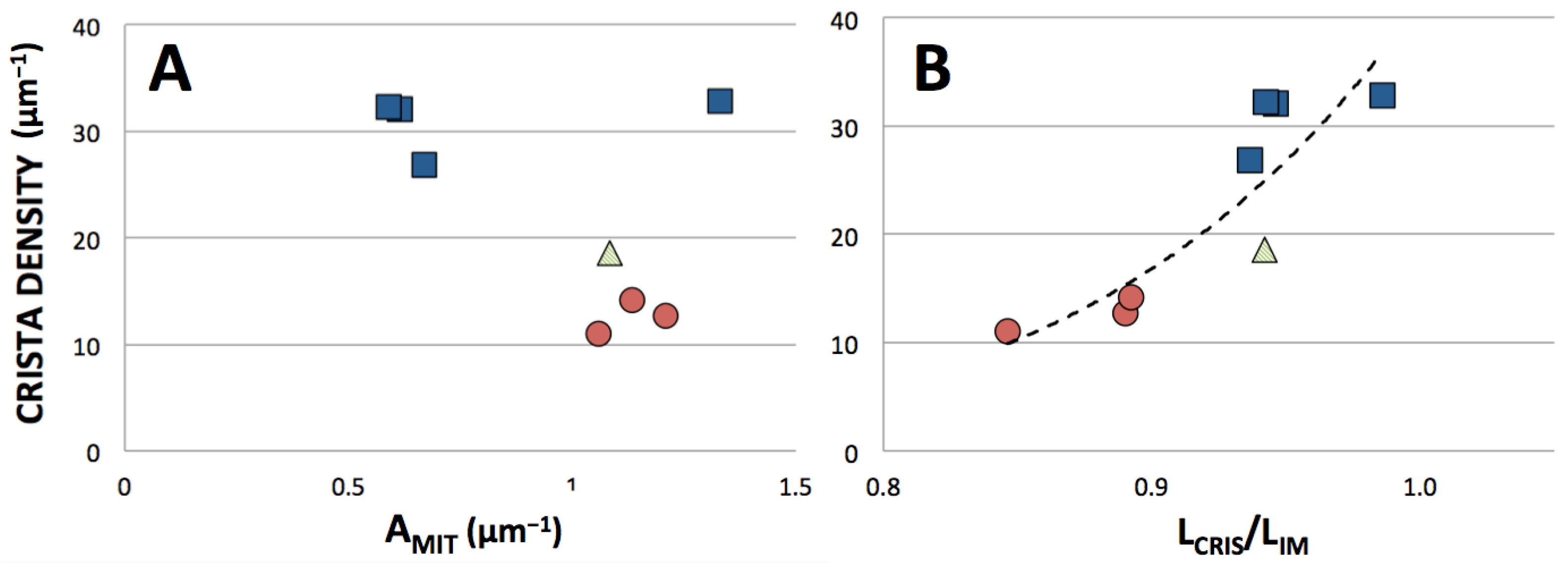 Cimb 45 00385 g005 Cimb 45 00385 g005