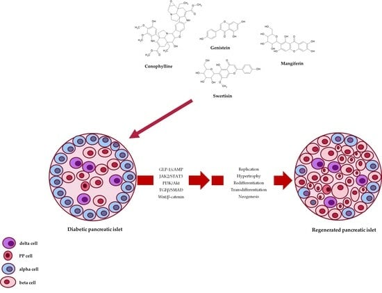 Regeneration of Pancreatic Beta Cells by Modulation of Molecular ...