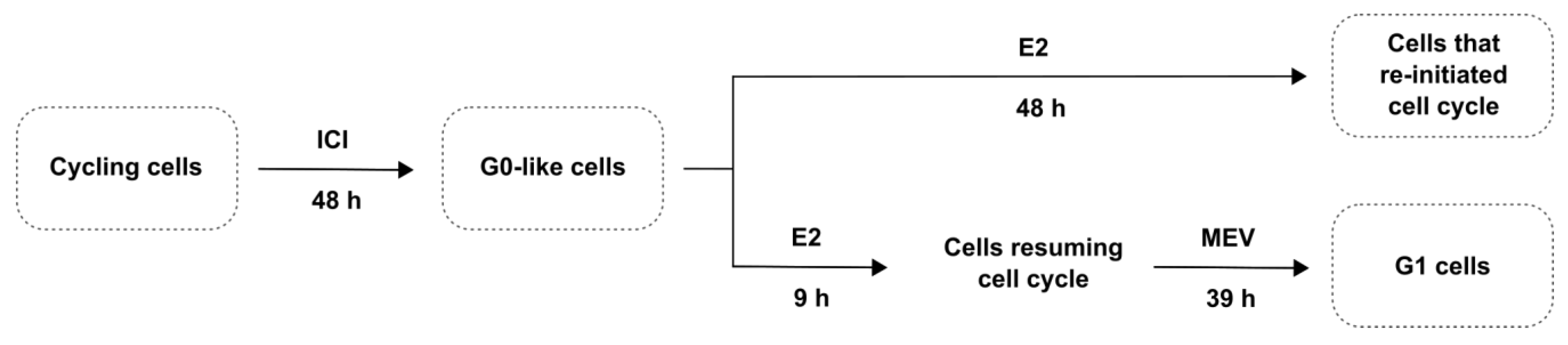 Cimb 45 00399 g001 Cimb 45 00399 g001