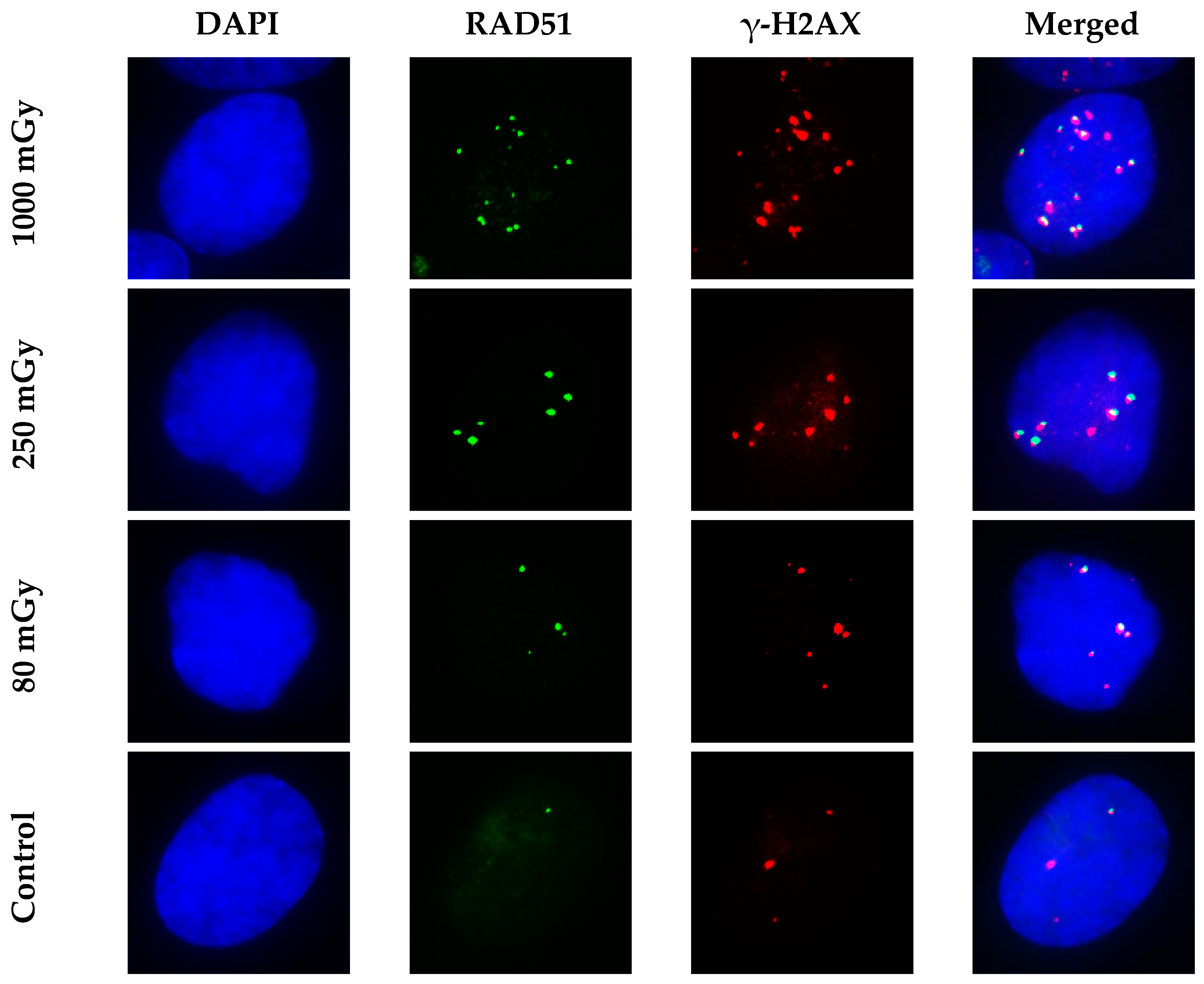 Cimb 45 00465 g004 Cimb 45 00465 g004