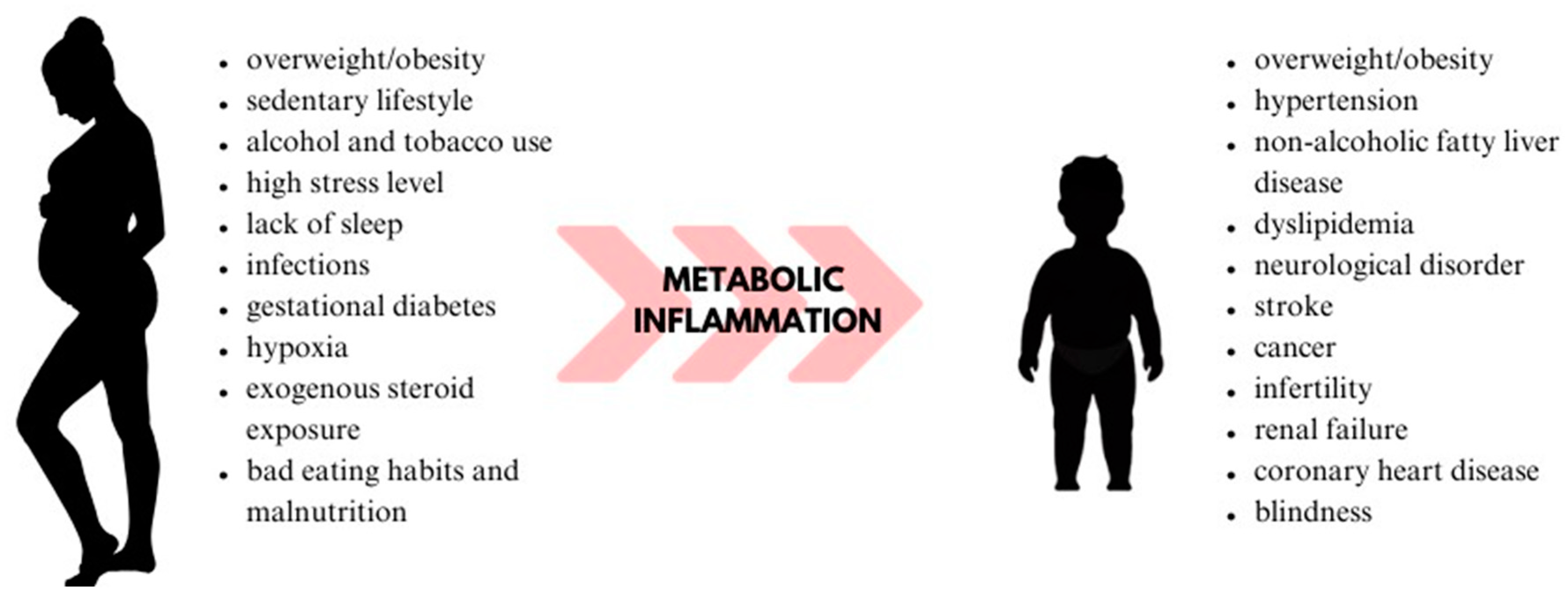 Cimb 45 00565 g002 Cimb 45 00565 g002