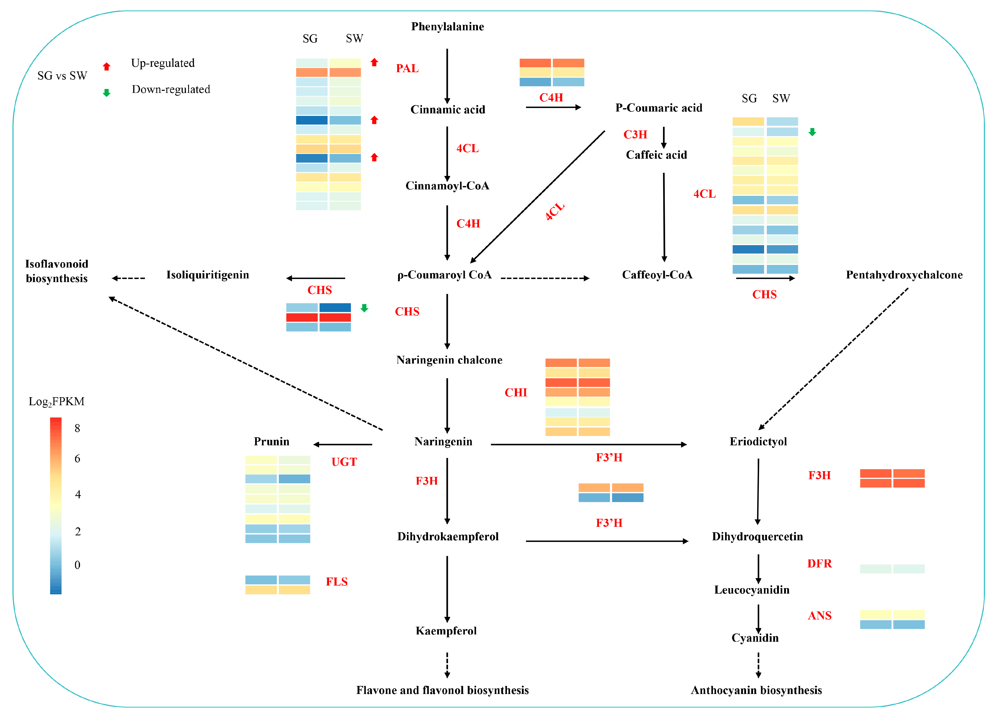 Cimb 45 00568 g005 Cimb 45 00568 g005