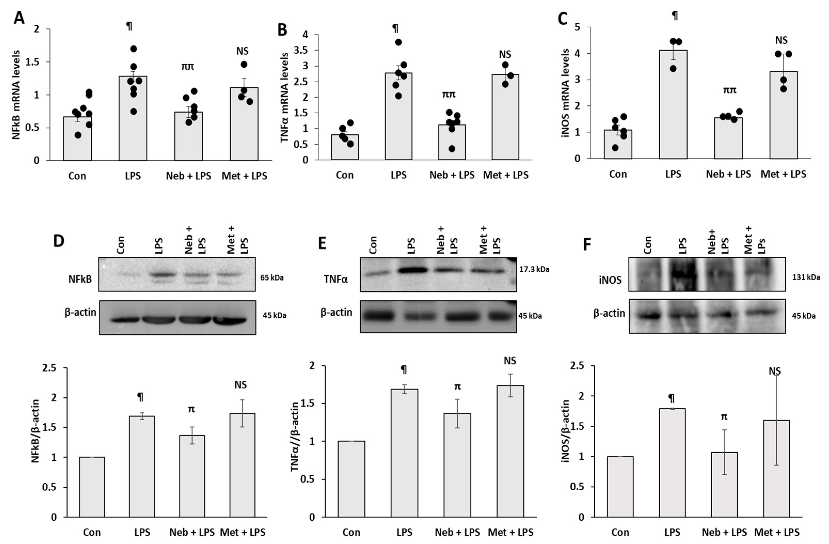 Cimb 45 00583 g002 Cimb 45 00583 g002
