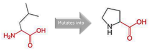 Cimb 45 00589 i001 Cimb 45 00589 i001