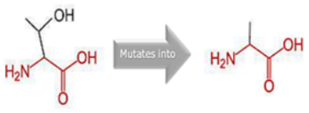 Cimb 45 00589 i003 Cimb 45 00589 i003