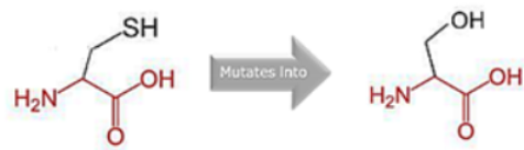 Cimb 45 00589 i007 Cimb 45 00589 i007