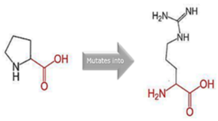 Cimb 45 00589 i008 Cimb 45 00589 i008