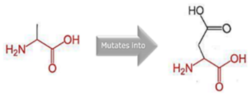 Cimb 45 00589 i009 Cimb 45 00589 i009