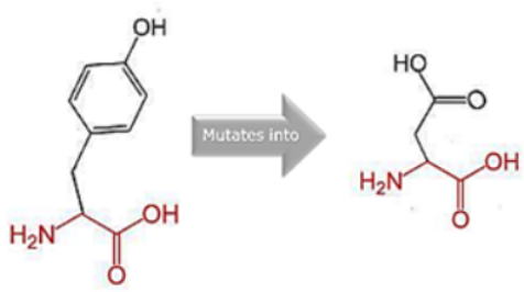 Cimb 45 00589 i011 Cimb 45 00589 i011