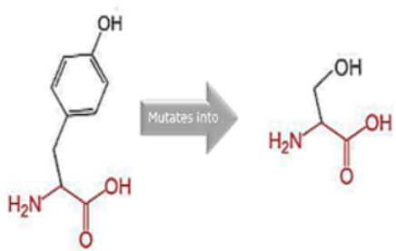 Cimb 45 00589 i012 Cimb 45 00589 i012