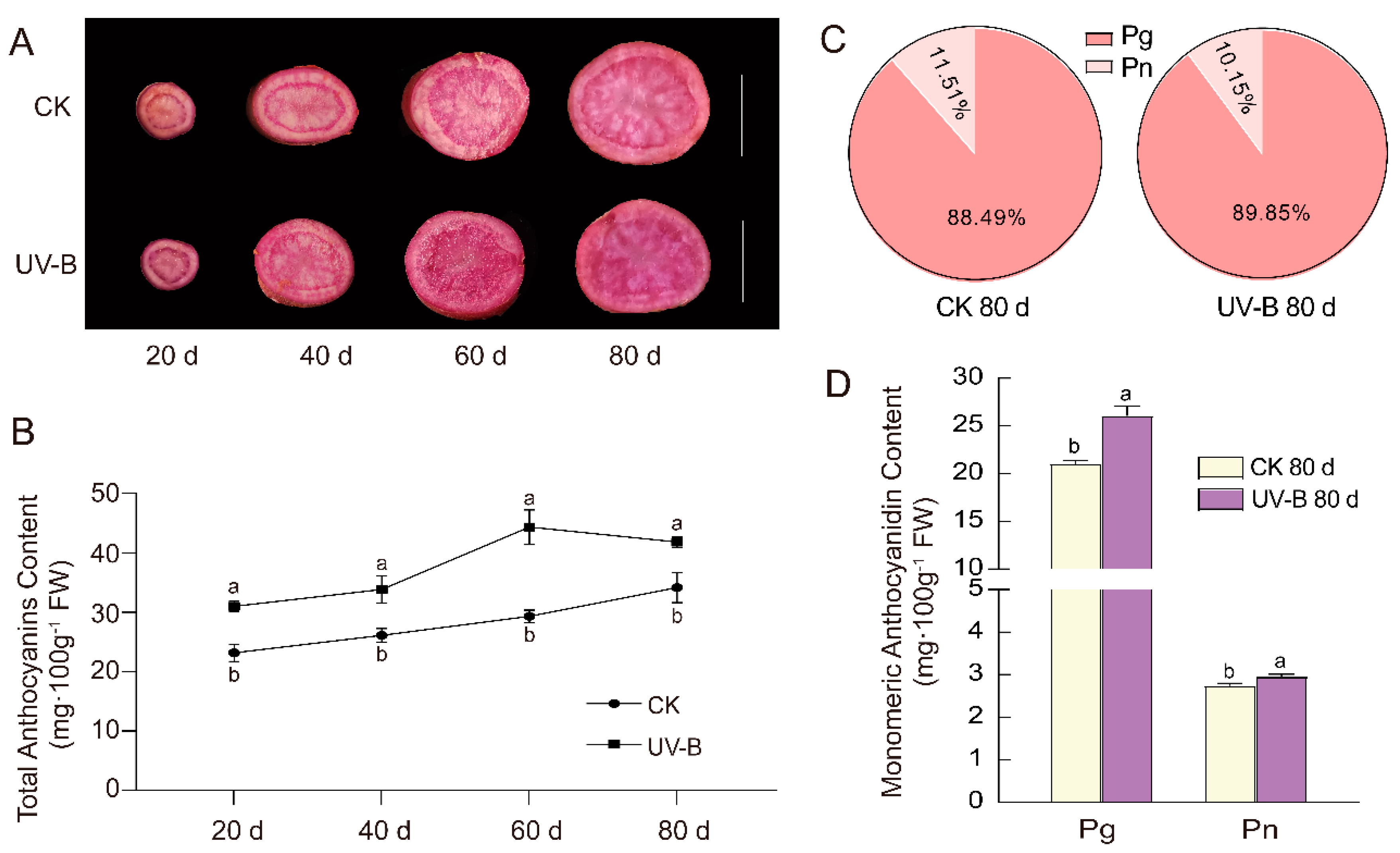 Cimb 45 00621 g002 Cimb 45 00621 g002