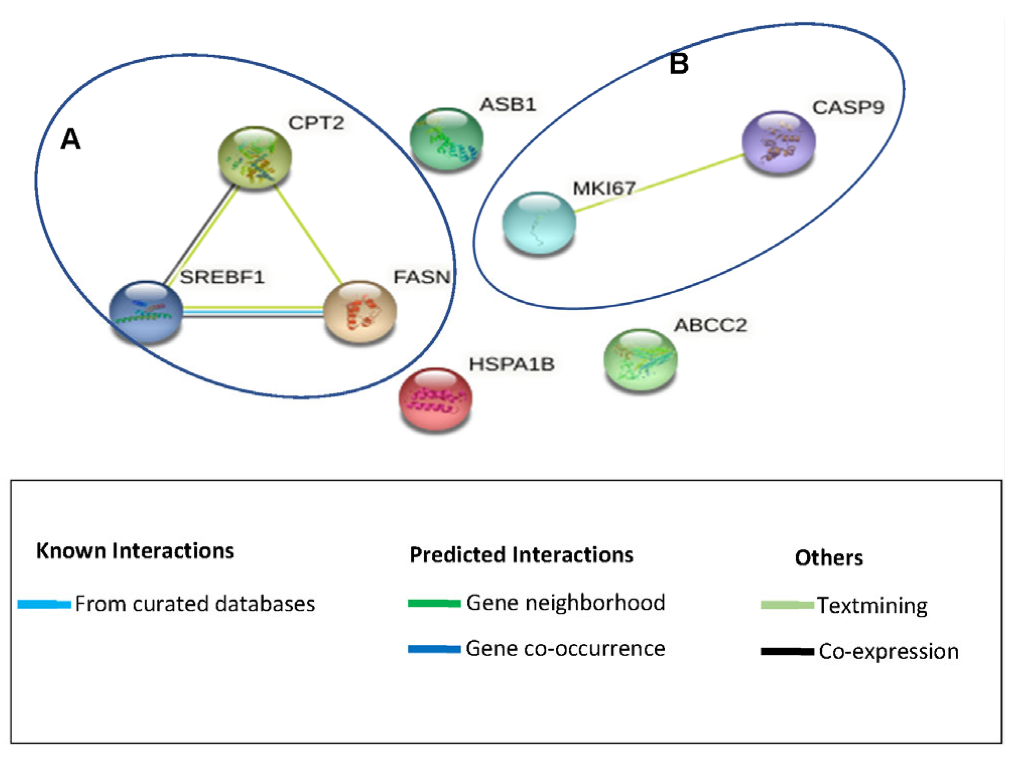 Cimb 45 00631 g004 Cimb 45 00631 g004