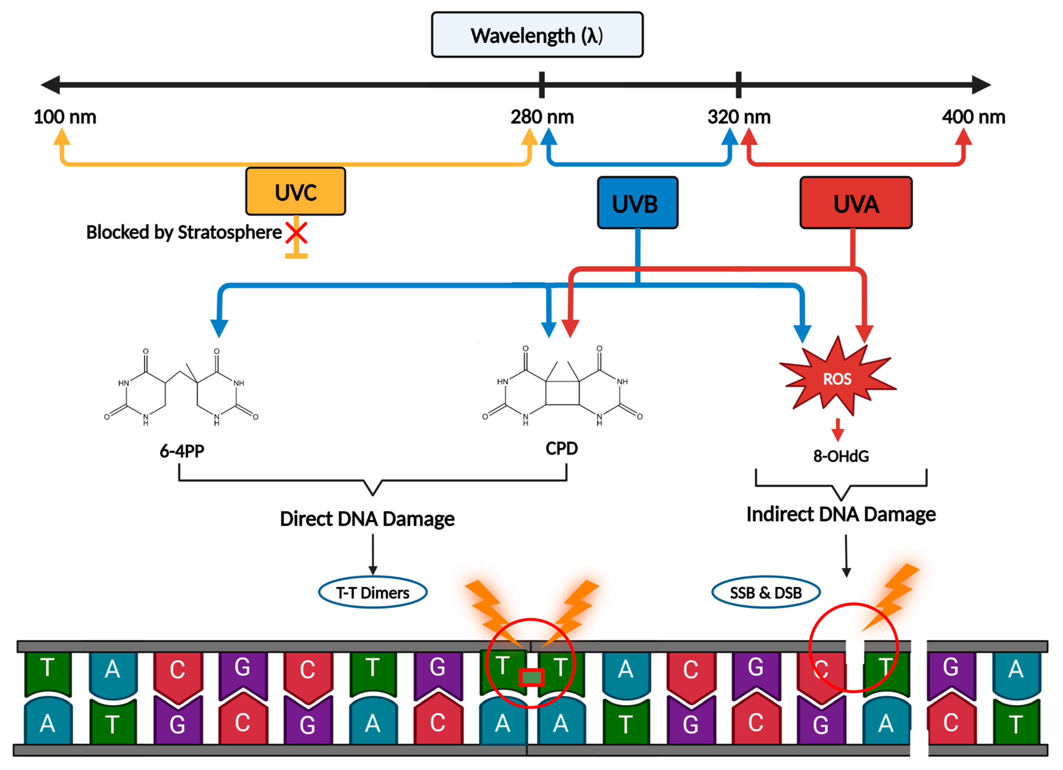 Cimb 46 00126 g001 Cimb 46 00126 g001
