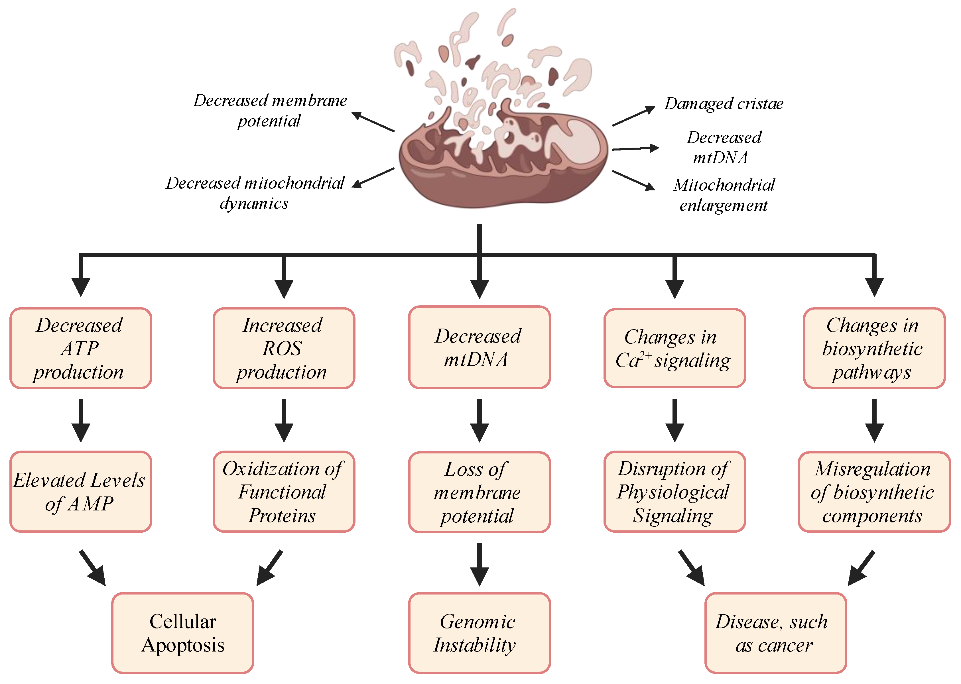 Cimb 46 00130 g004 Cimb 46 00130 g004