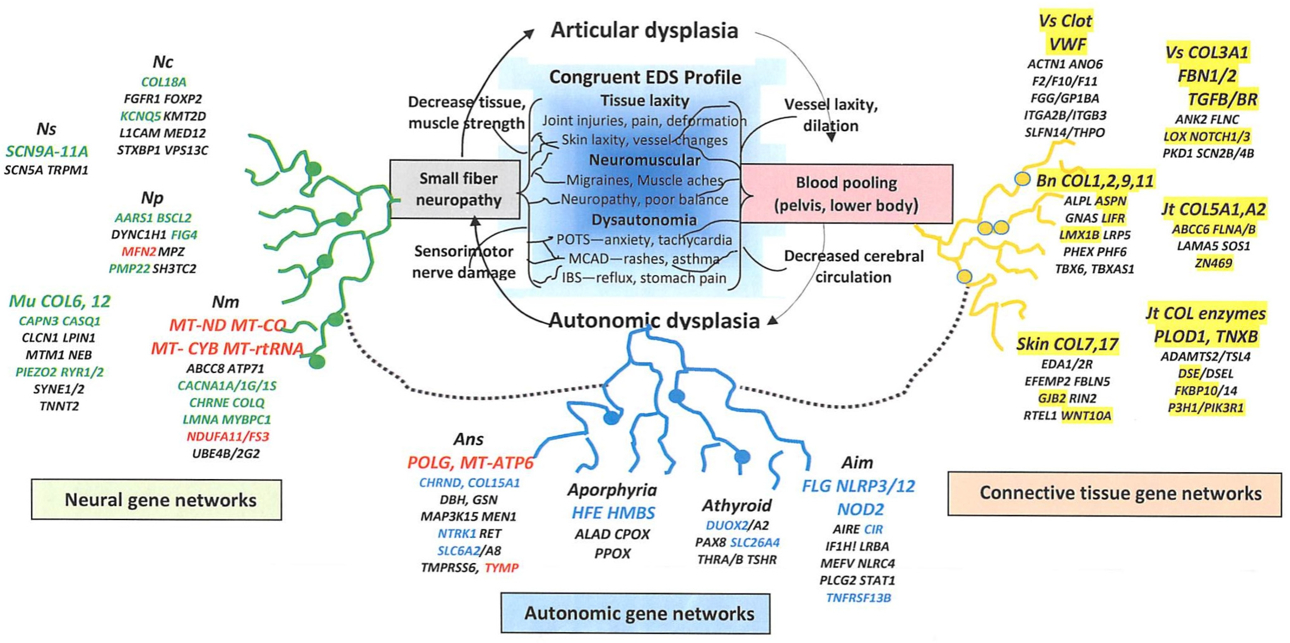 Cimb 46 00166 g002 Cimb 46 00166 g002
