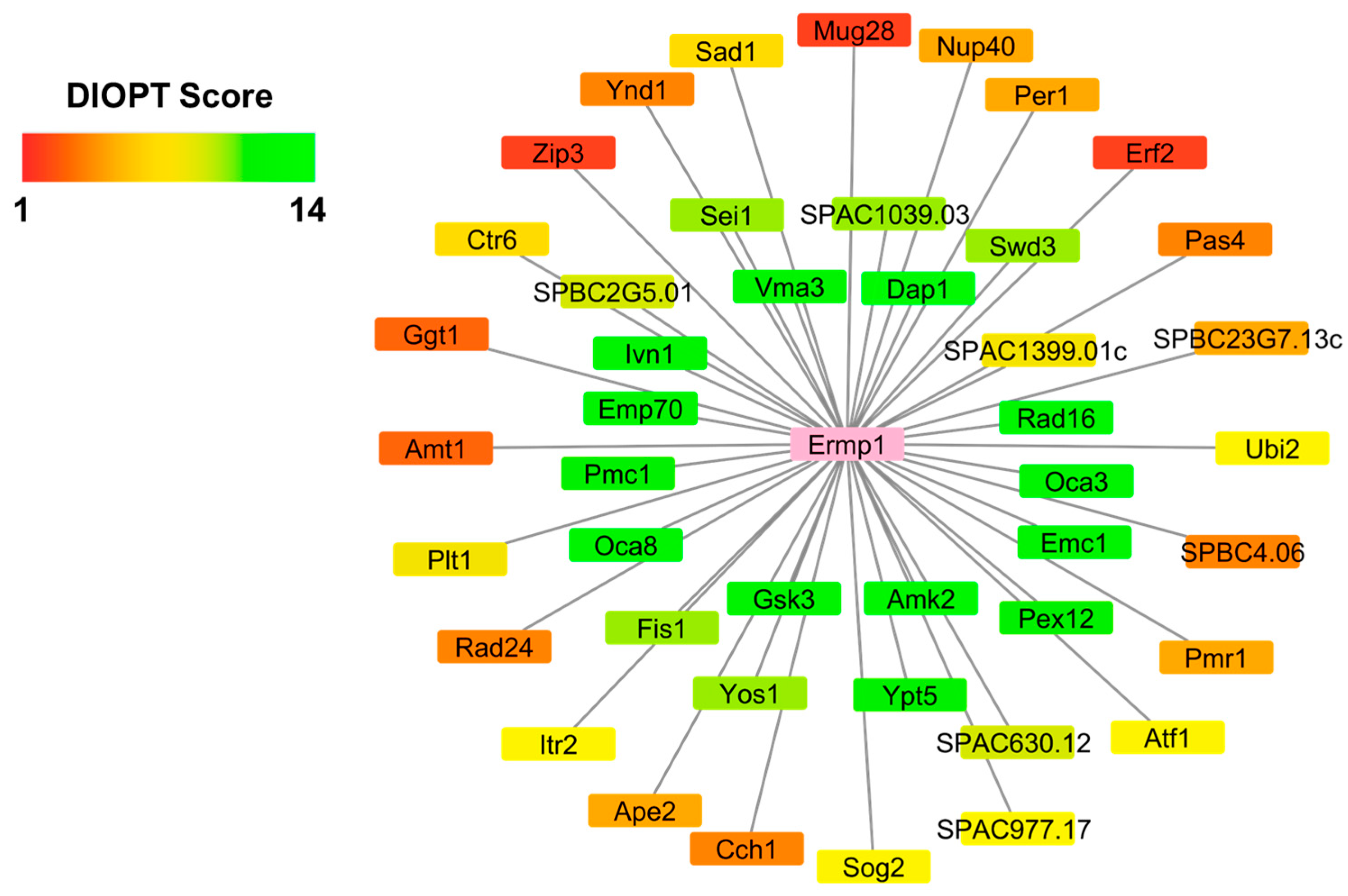 Cimb 46 00280 g002 Cimb 46 00280 g002