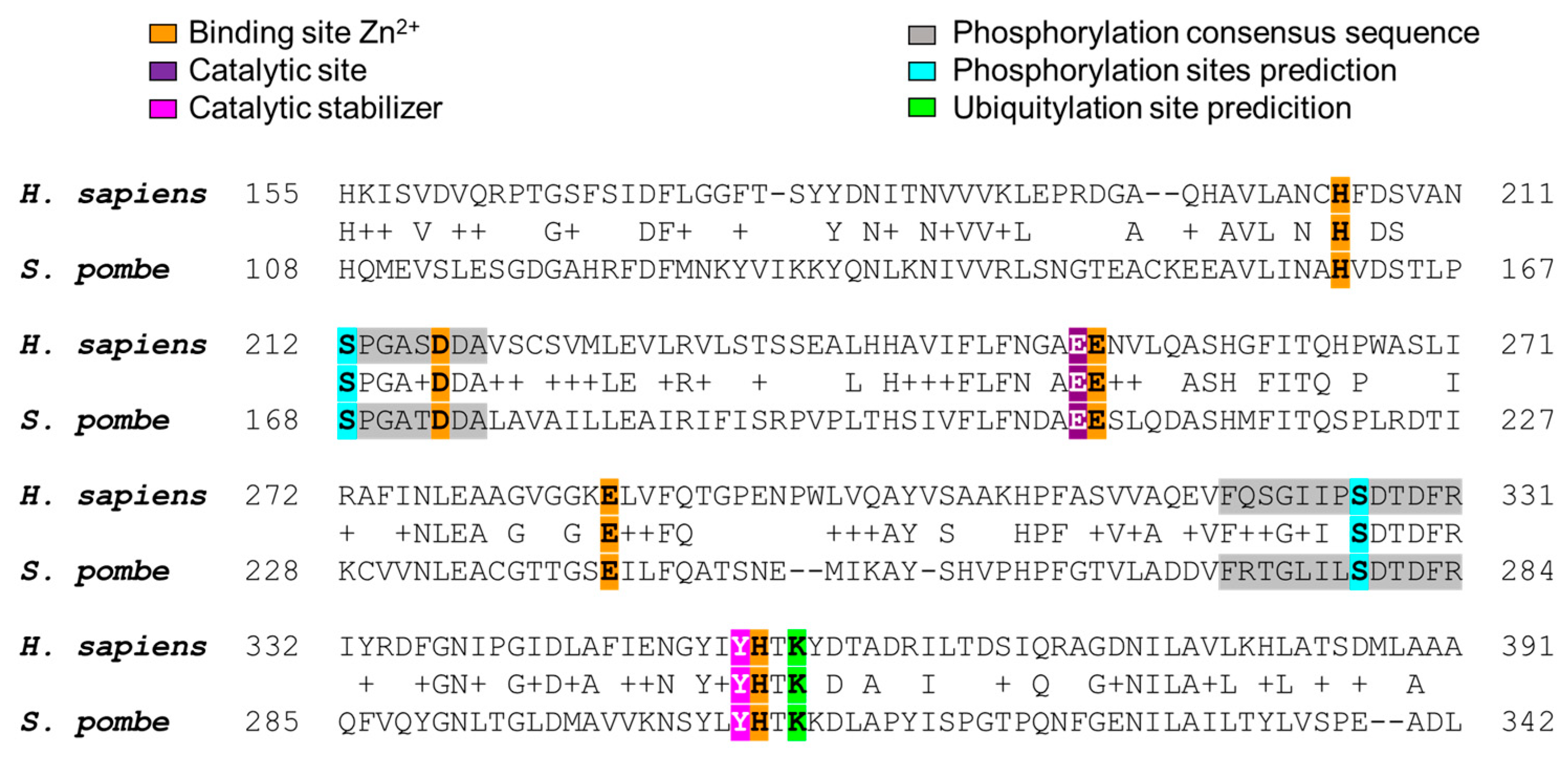 Cimb 46 00280 g004 Cimb 46 00280 g004