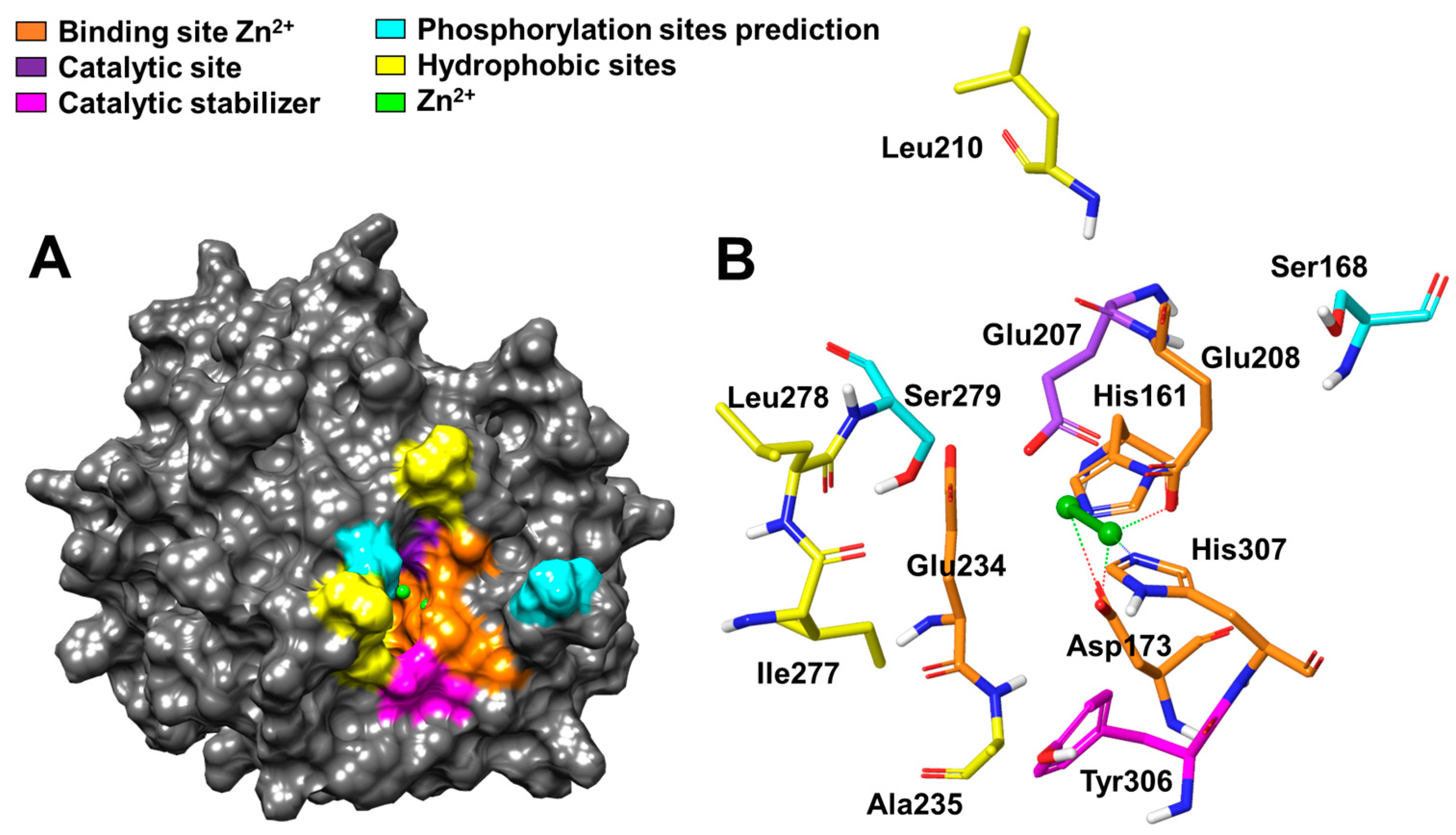 Cimb 46 00280 g006 Cimb 46 00280 g006