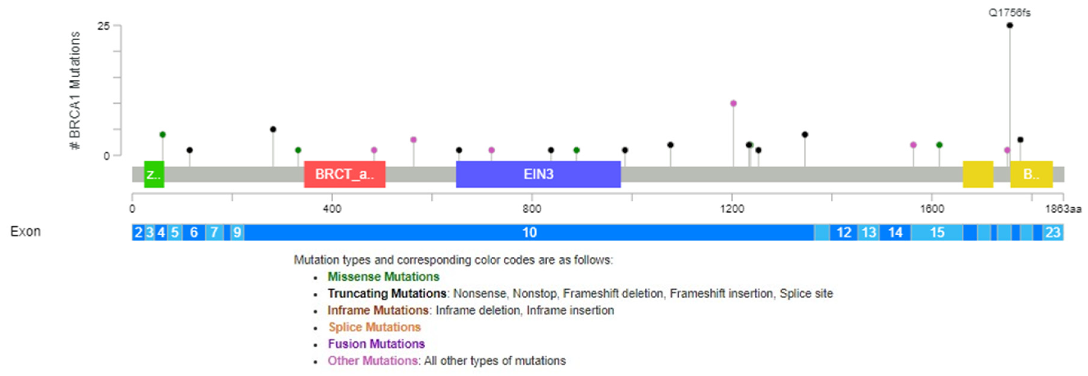 Cimb 46 00281 g001 Cimb 46 00281 g001