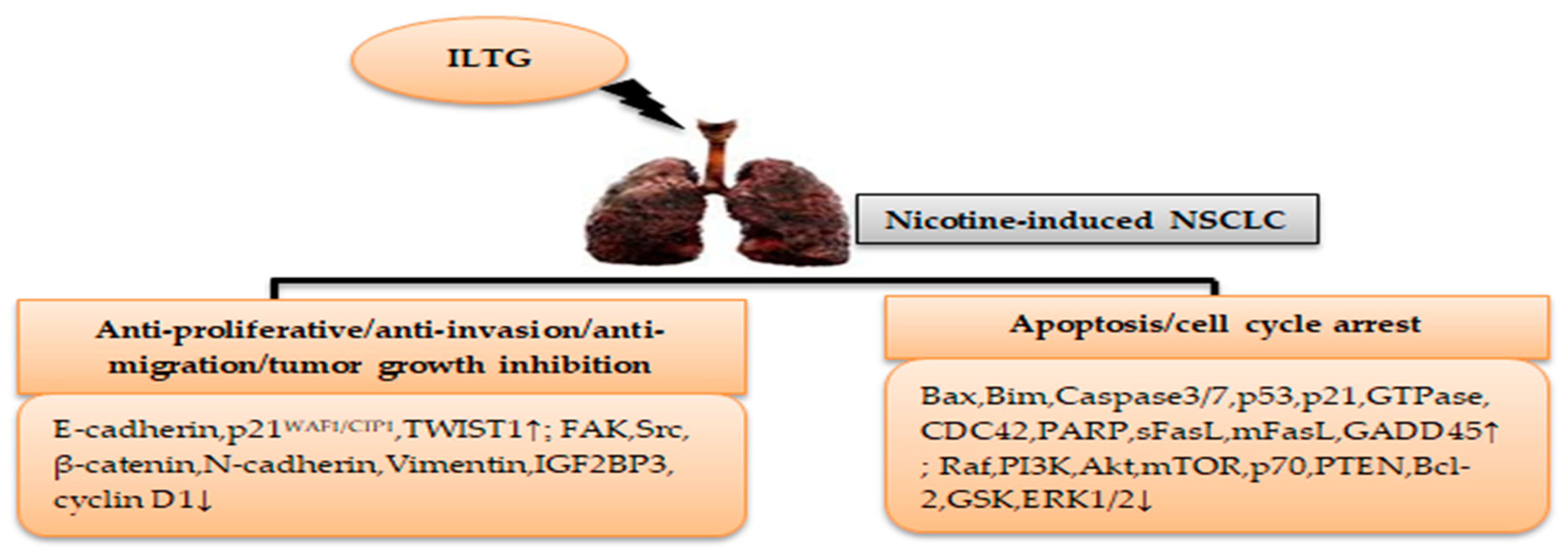 Cimb 46 00352 g003 Cimb 46 00352 g003