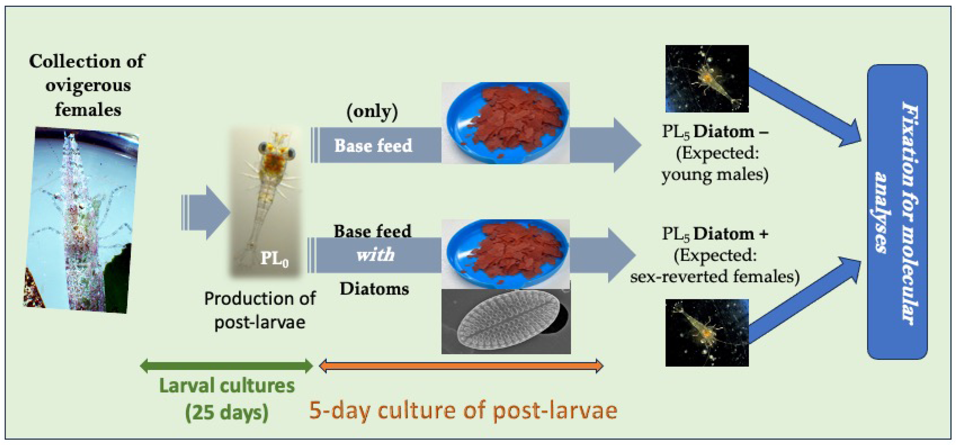 Cimb 46 00368 g001 Cimb 46 00368 g001