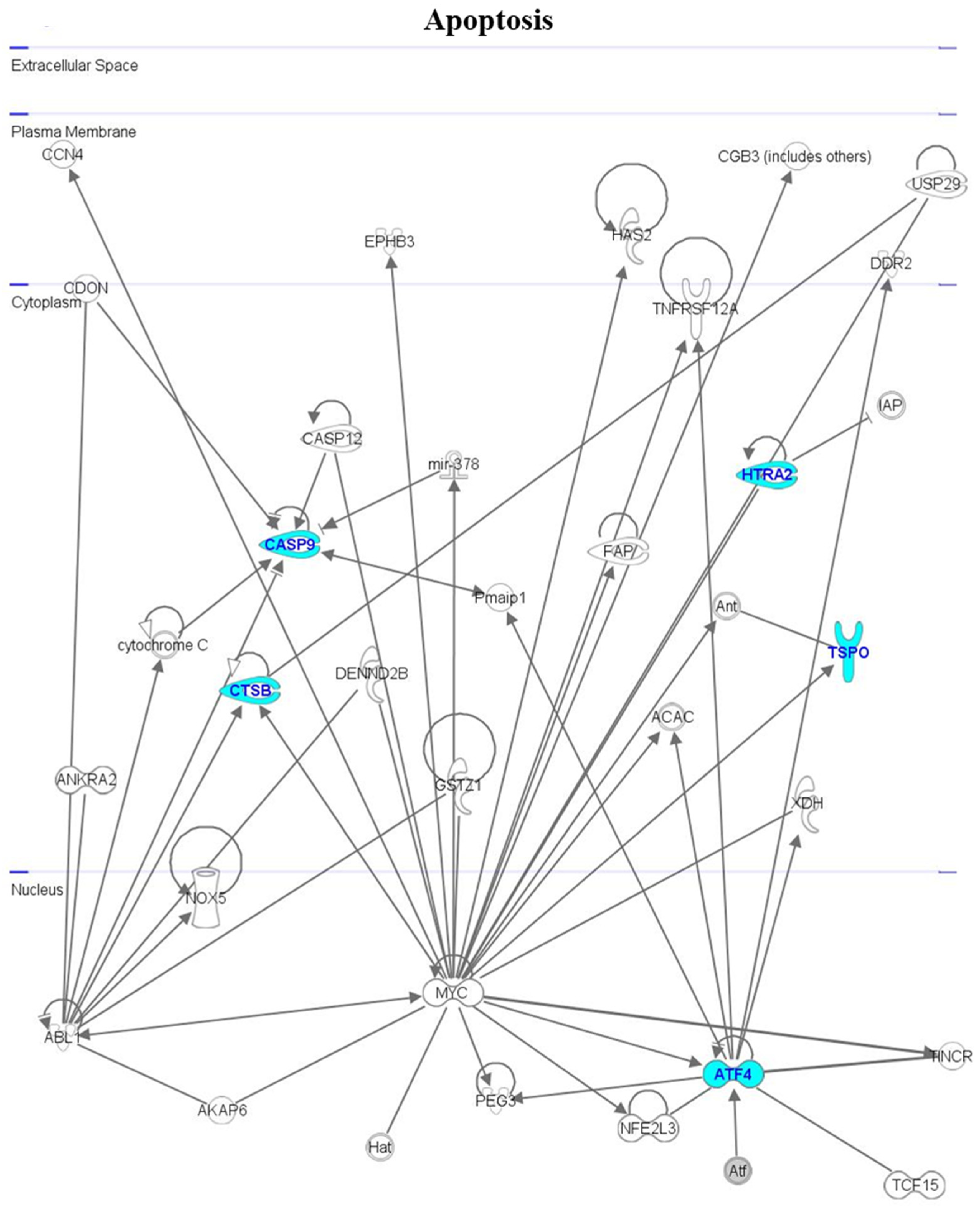 Cimb 46 00368 g004 Cimb 46 00368 g004