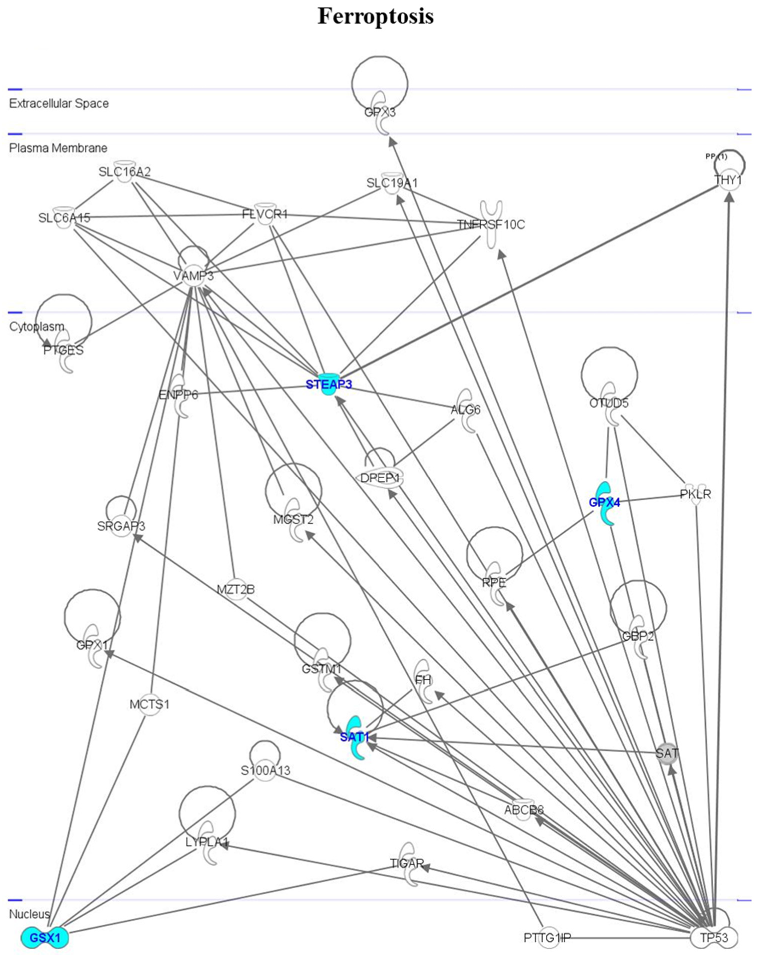 Cimb 46 00368 g005 Cimb 46 00368 g005