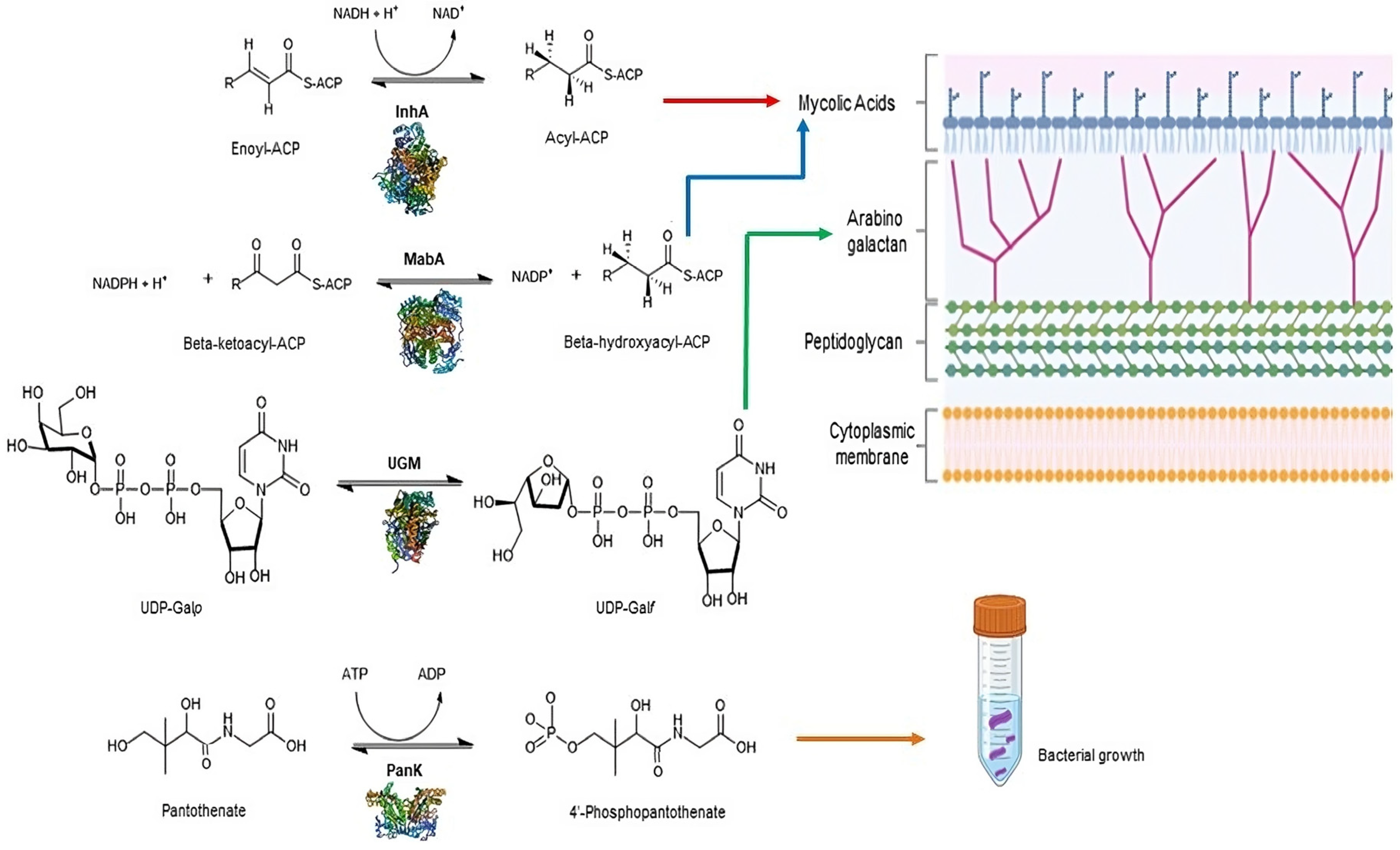 Cimb 46 00387 sch001