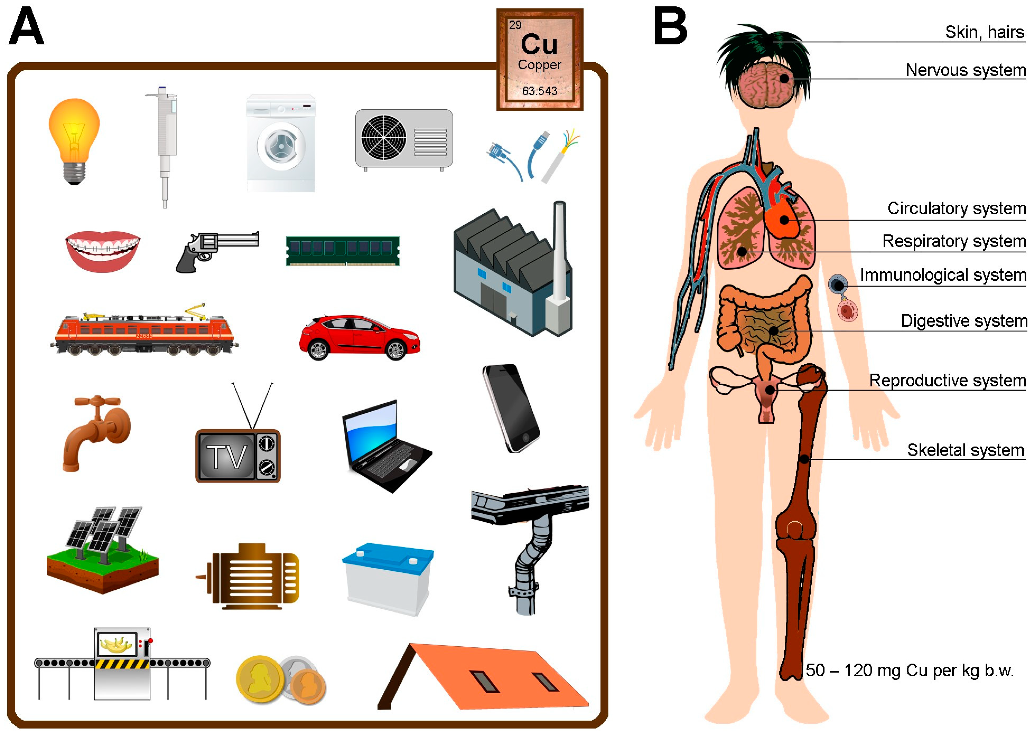 Cimb 46 00498 g001 Cimb 46 00498 g001