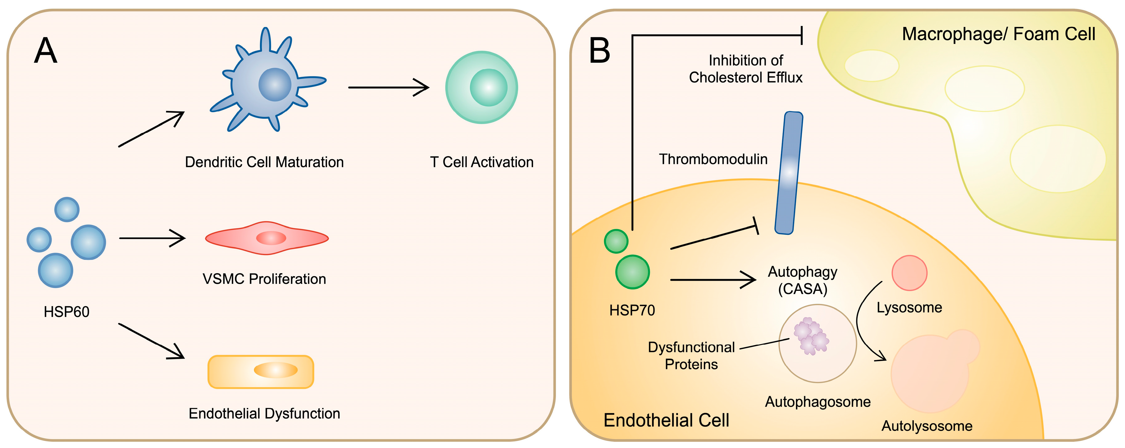 Cimb 46 00532 g002 Cimb 46 00532 g002