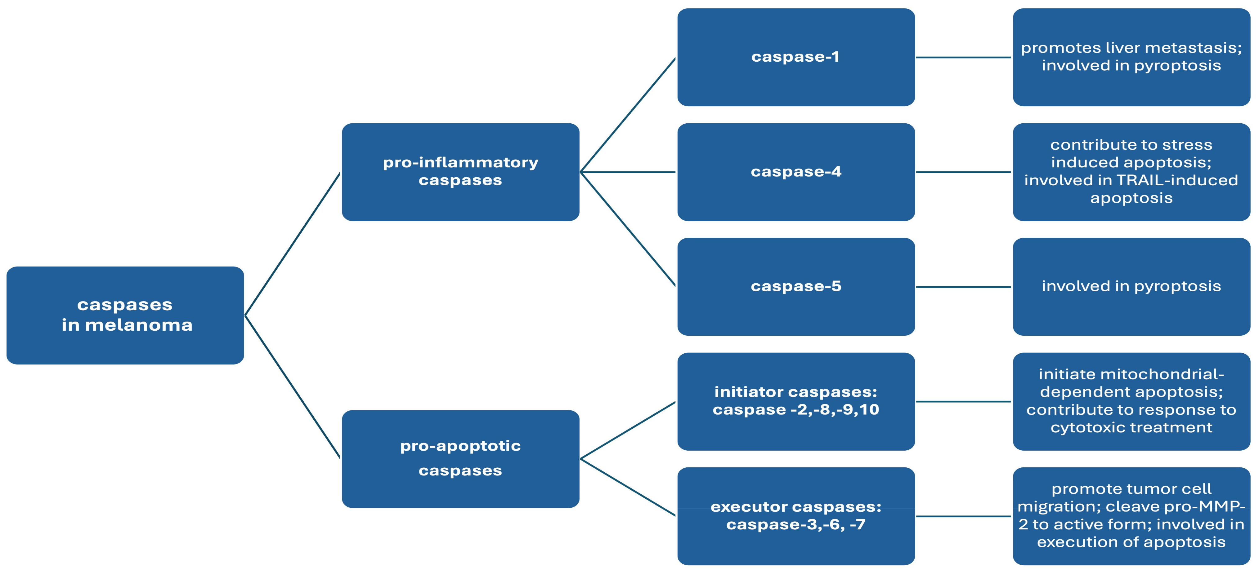 Cimb 46 00562 sch001