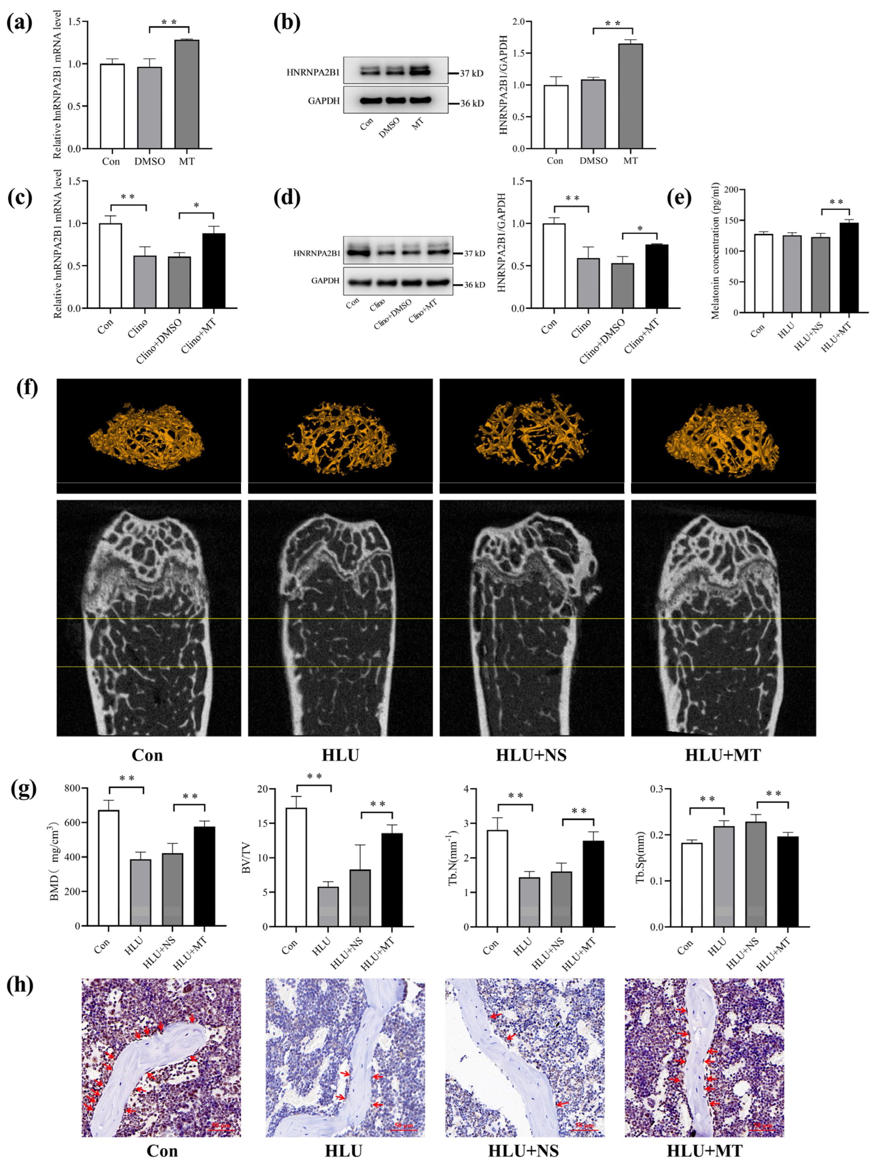 Cimb 46 00572 g004 Cimb 46 00572 g004