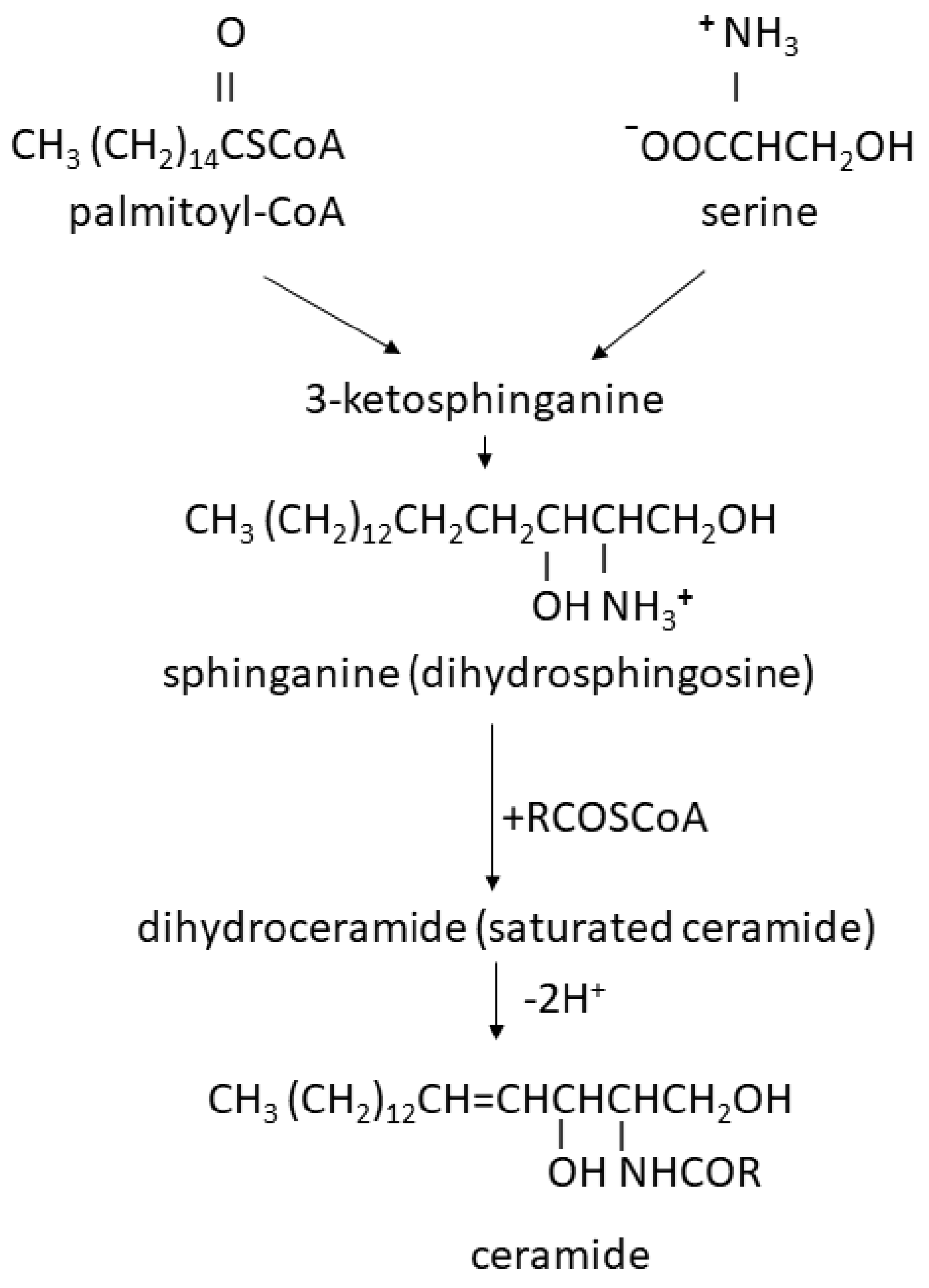 Cimb 46 00608 g001 Cimb 46 00608 g001