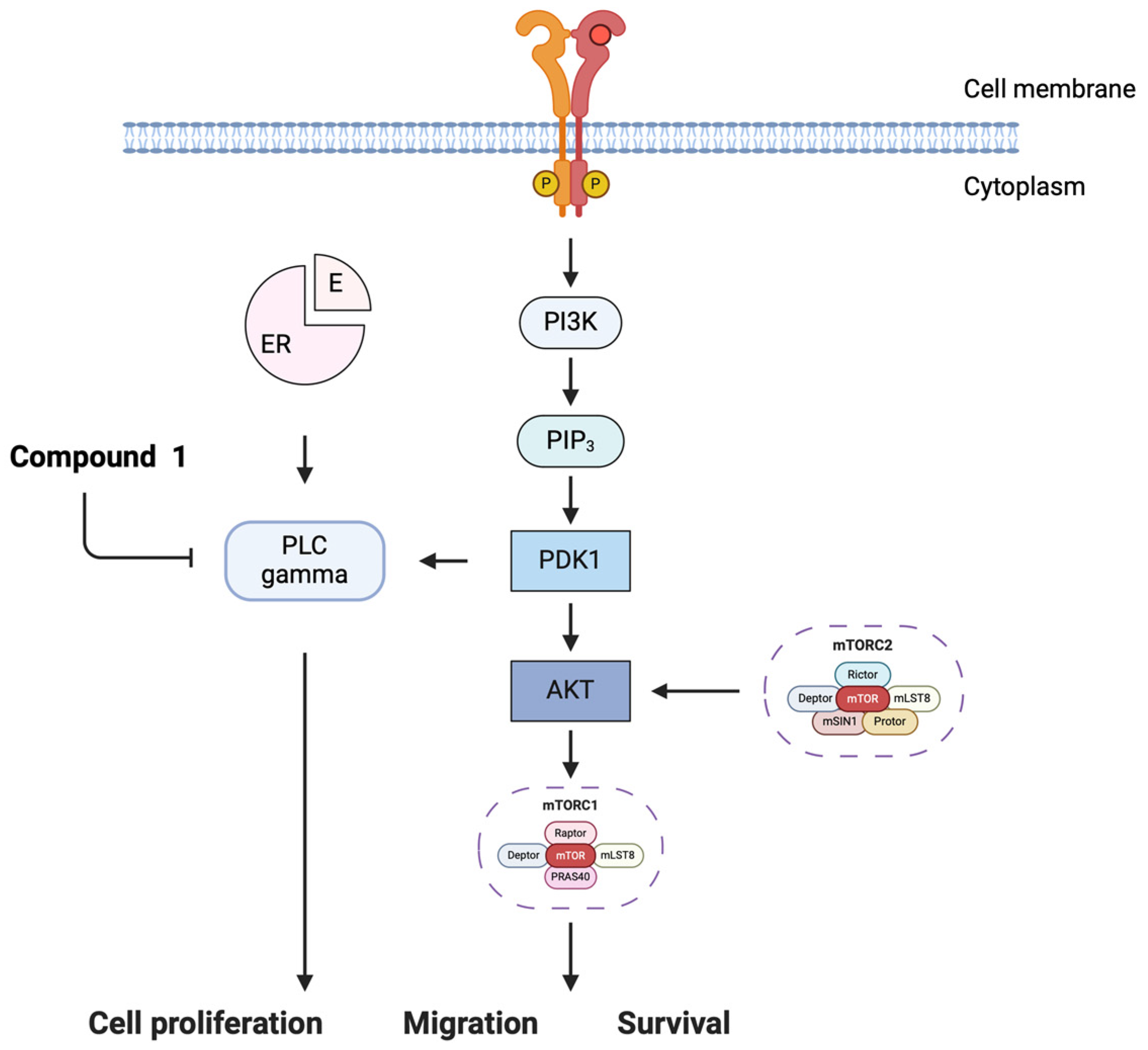 Cimb 46 00608 g003 Cimb 46 00608 g003