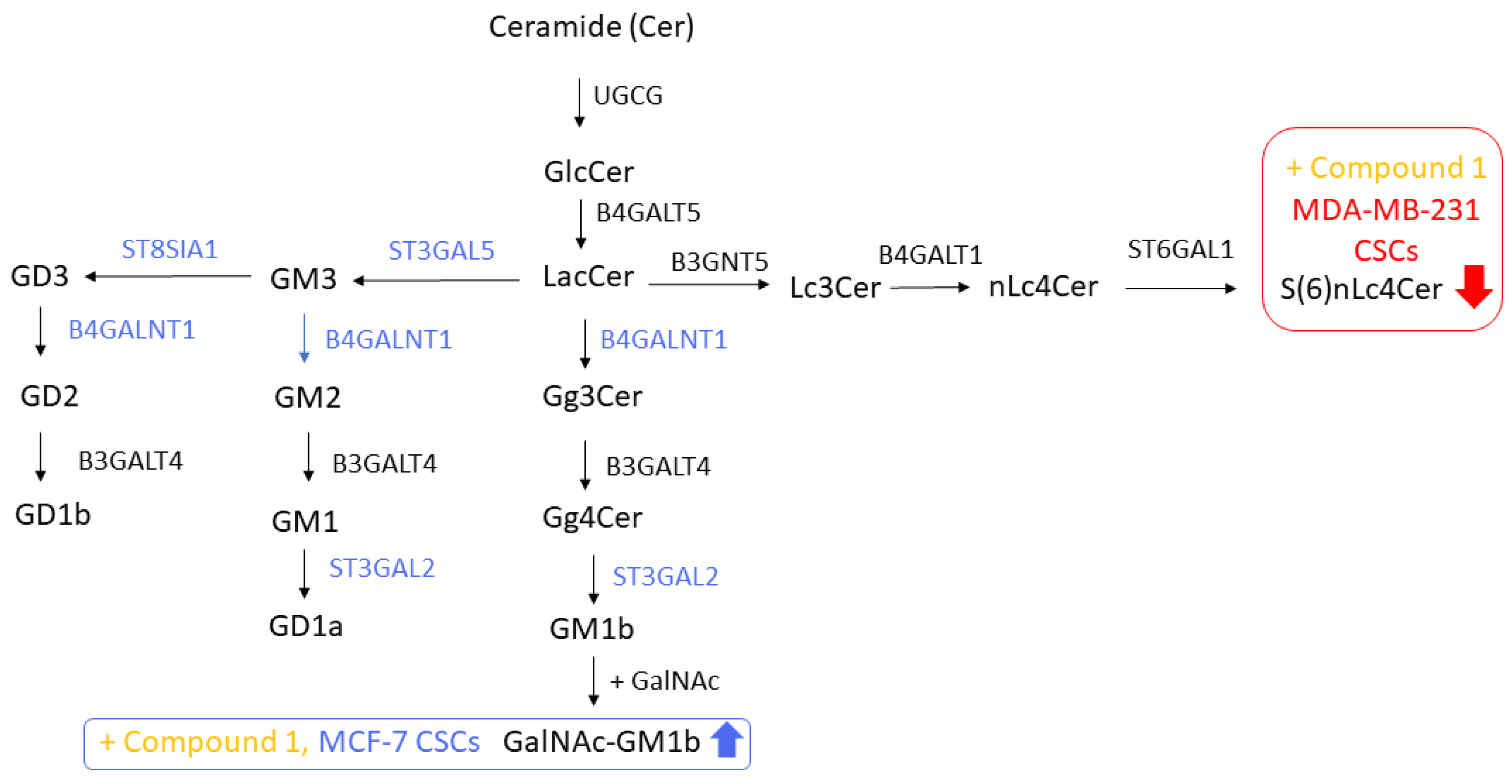 Cimb 46 00608 g004 Cimb 46 00608 g004