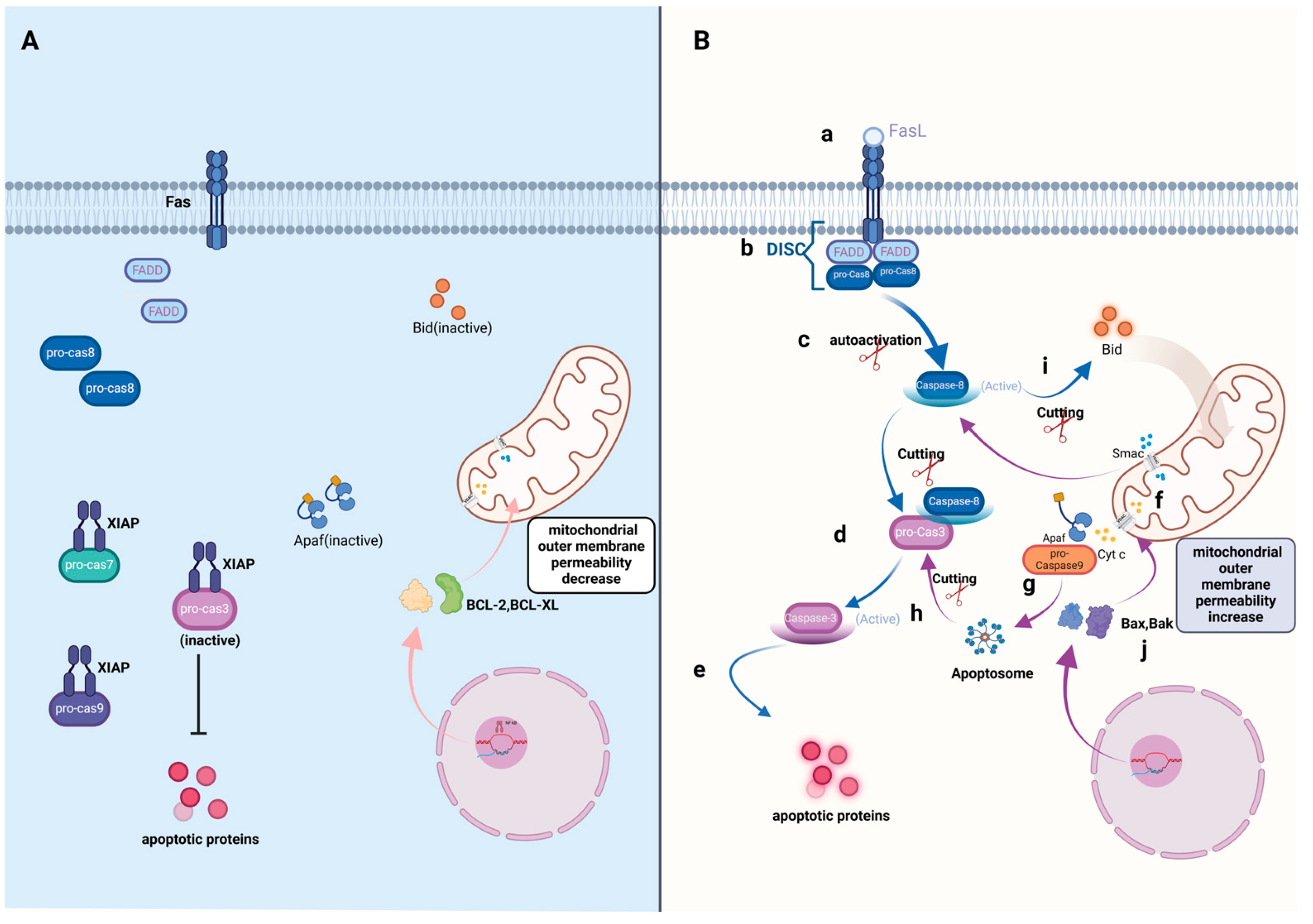 Cimb 46 00612 g001 Cimb 46 00612 g001