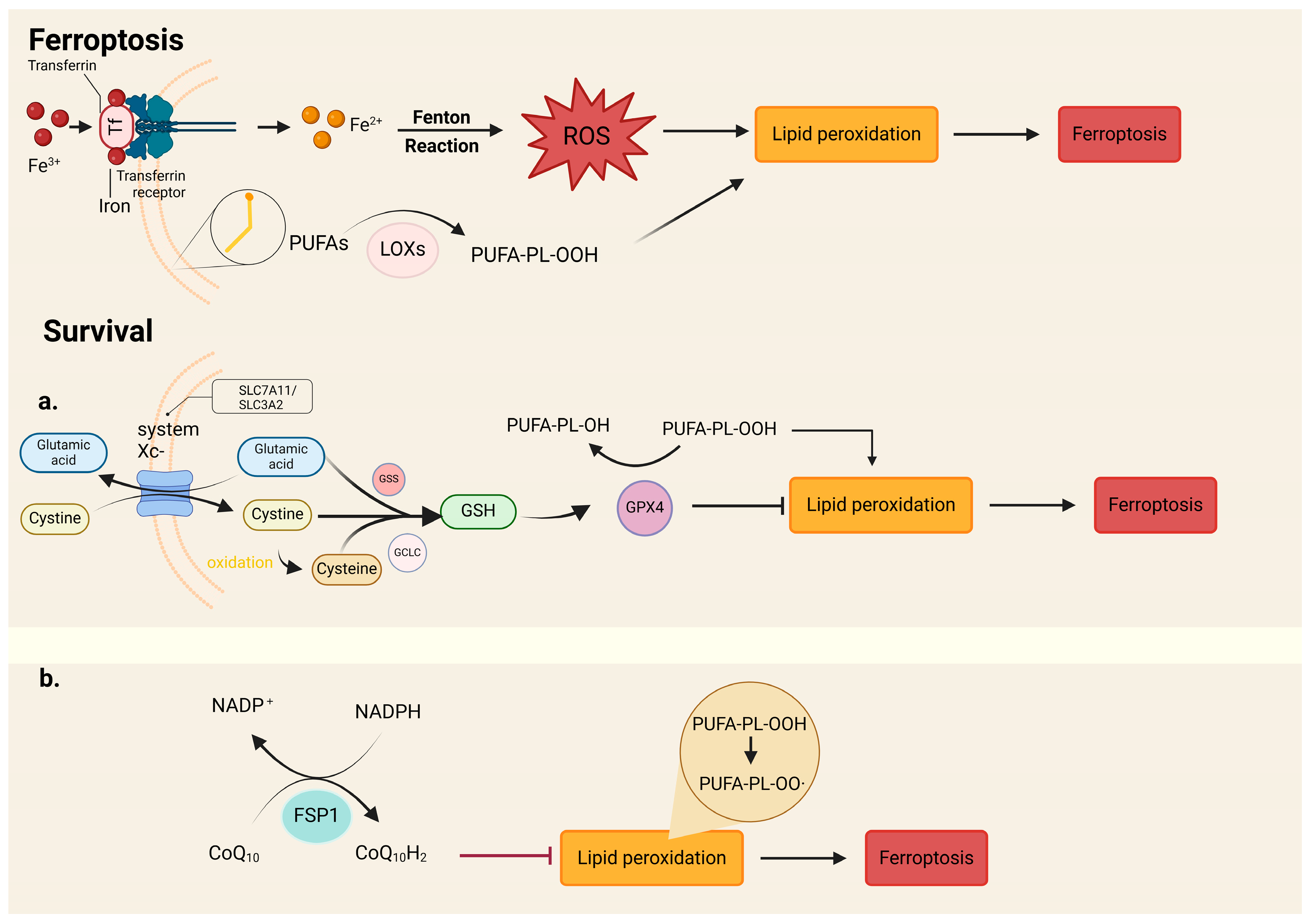 Cimb 46 00612 g004 Cimb 46 00612 g004