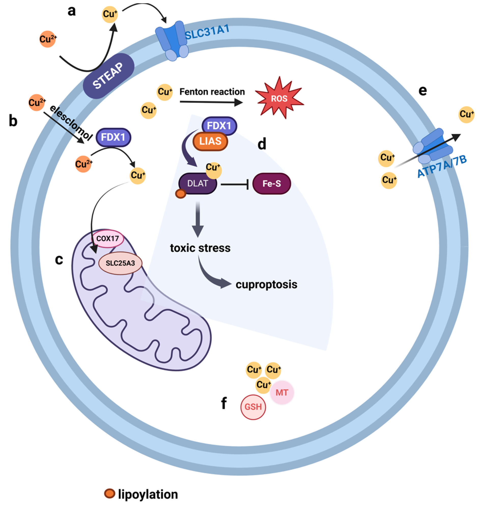 Cimb 46 00612 g005 Cimb 46 00612 g005