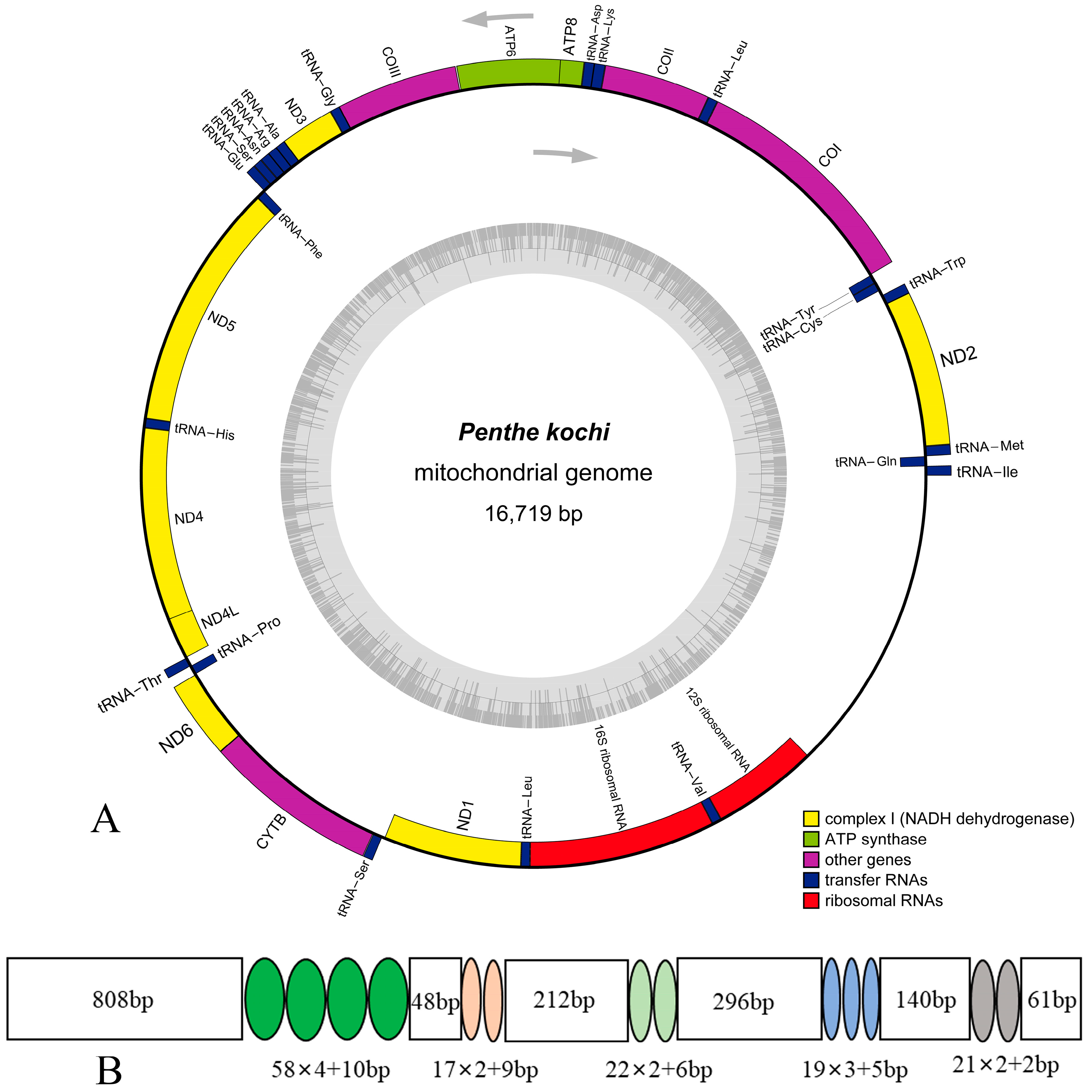 Cimb 46 00641 g001 Cimb 46 00641 g001