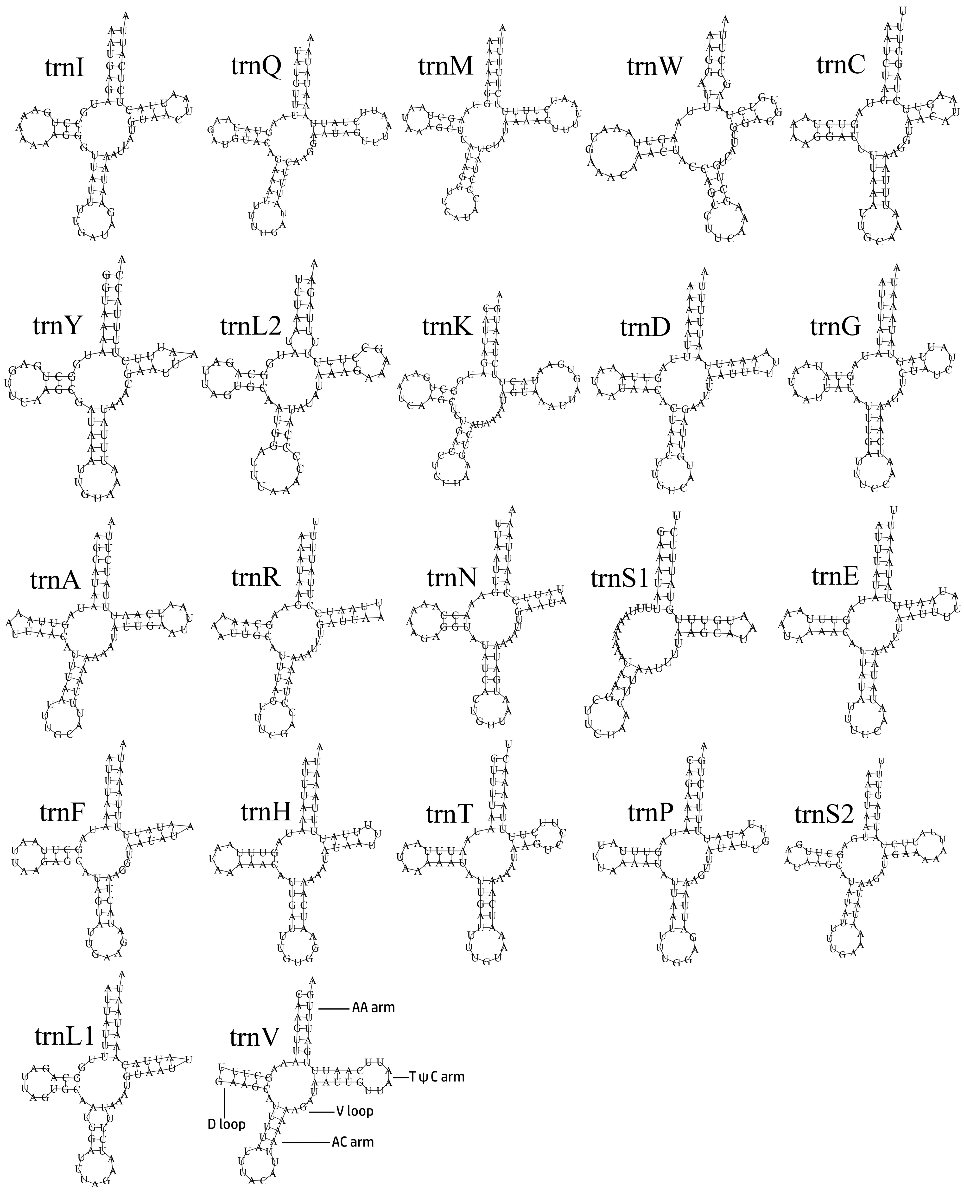Cimb 46 00641 g004 Cimb 46 00641 g004