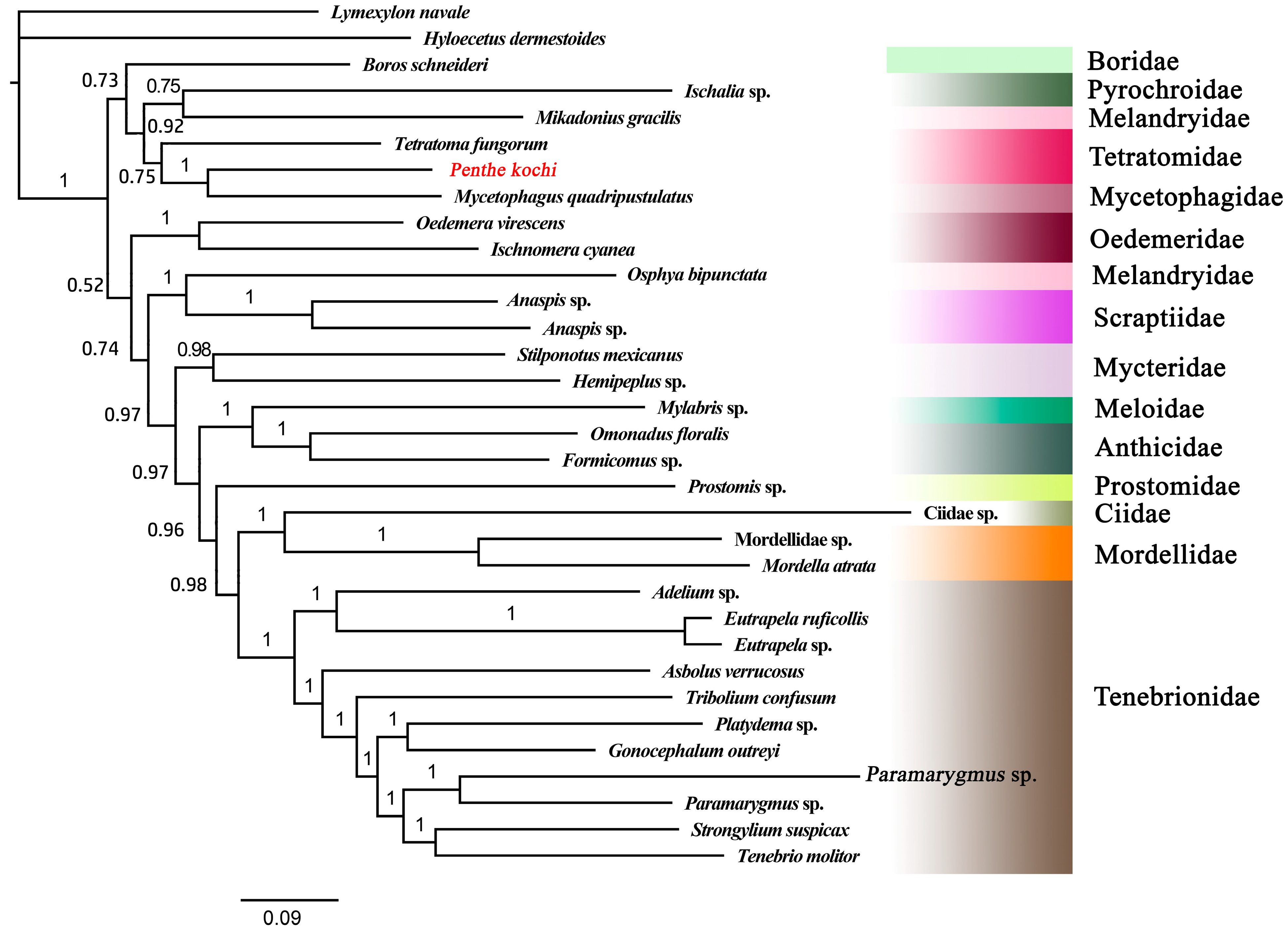 Cimb 46 00641 g005 Cimb 46 00641 g005