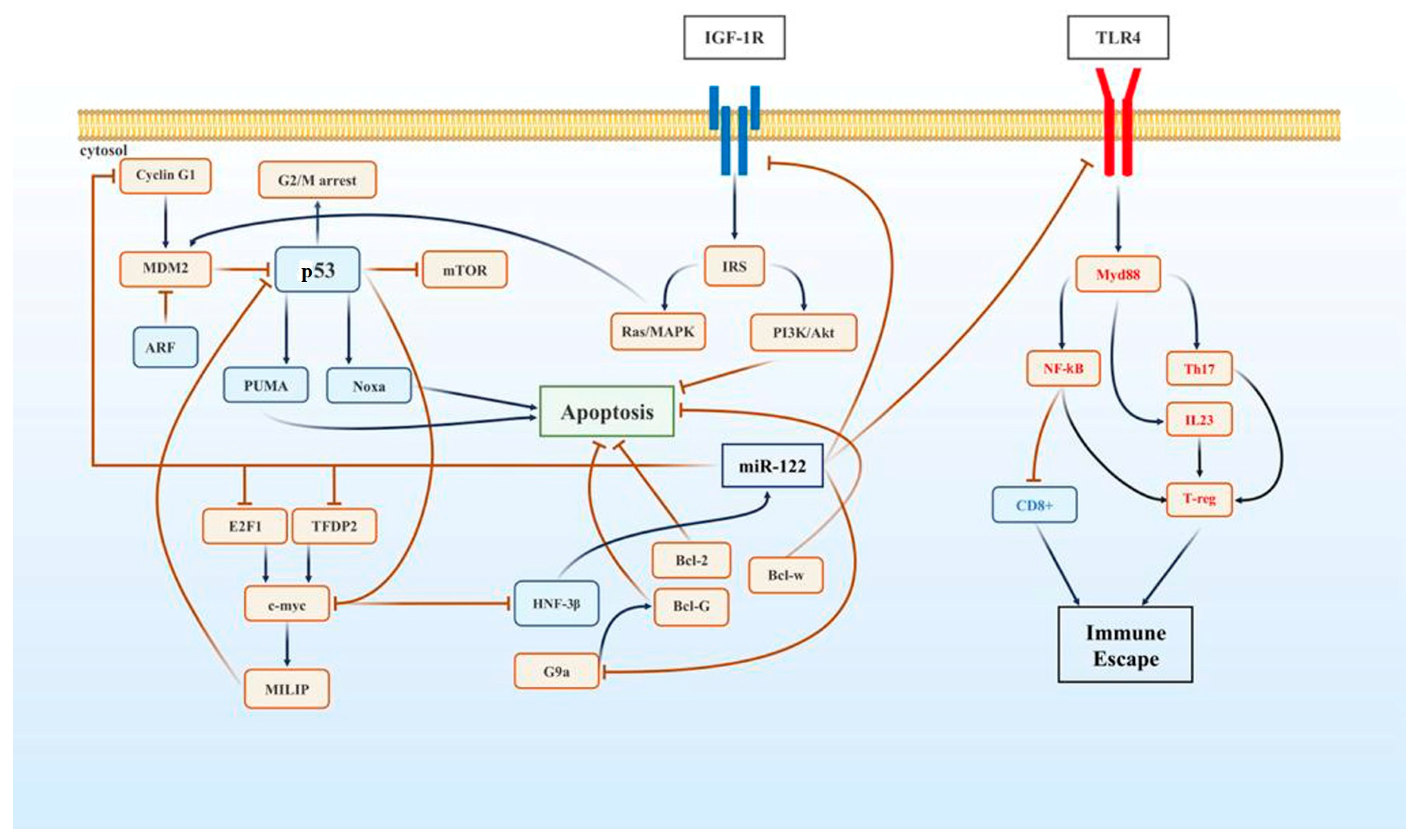 Cimb 46 00711 g001 Cimb 46 00711 g001