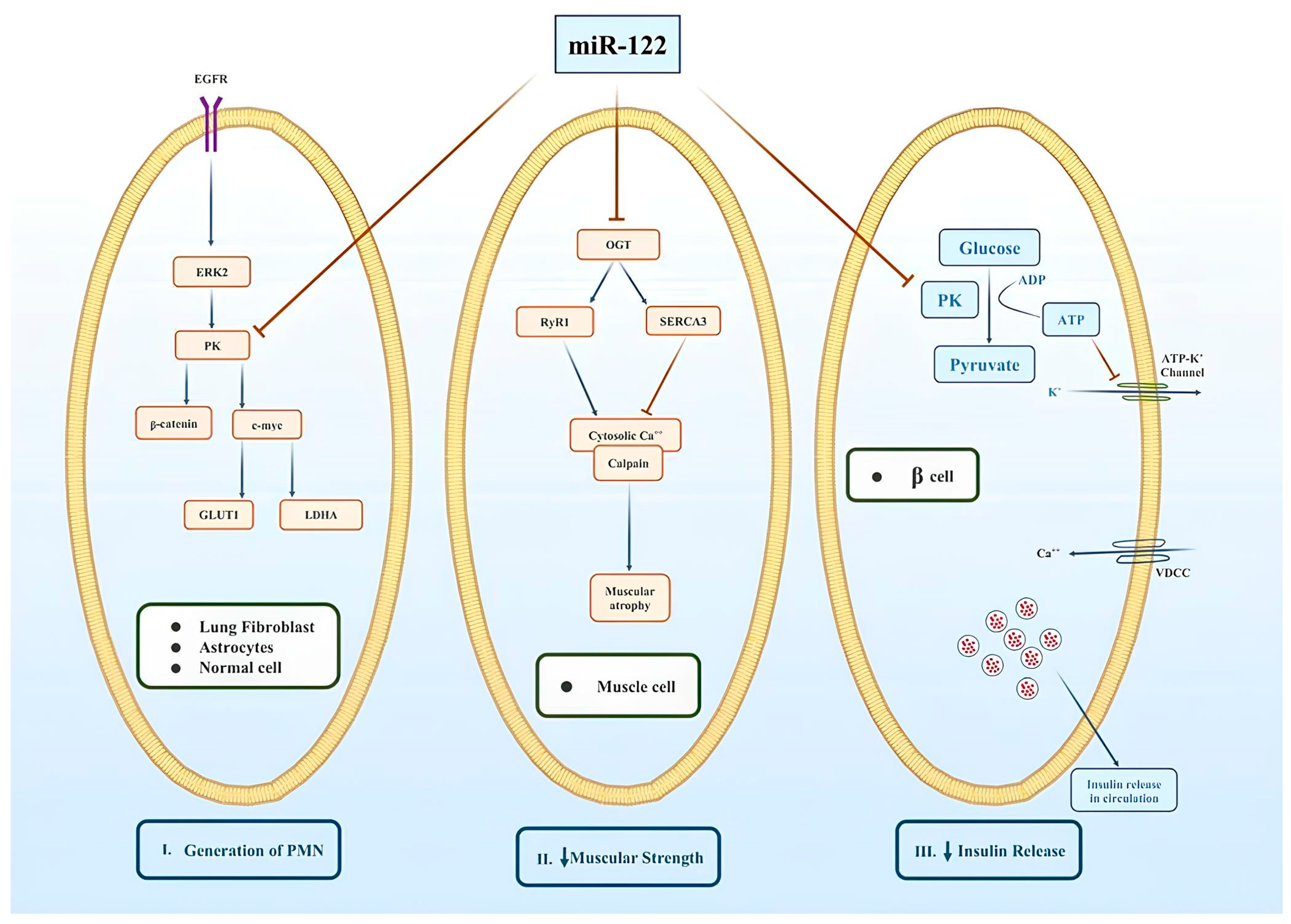 Cimb 46 00711 g003 Cimb 46 00711 g003