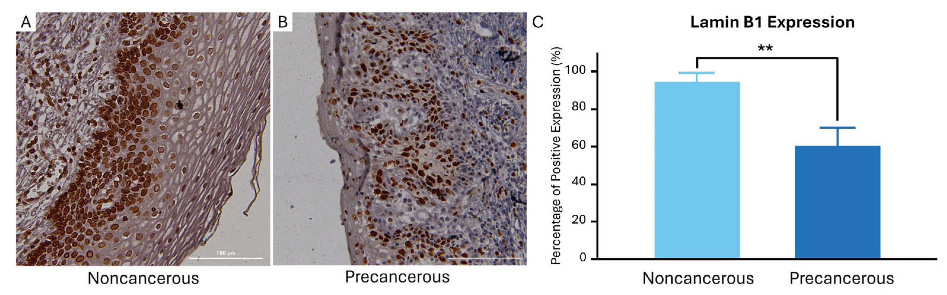 Cimb 46 00818 g002 Cimb 46 00818 g002