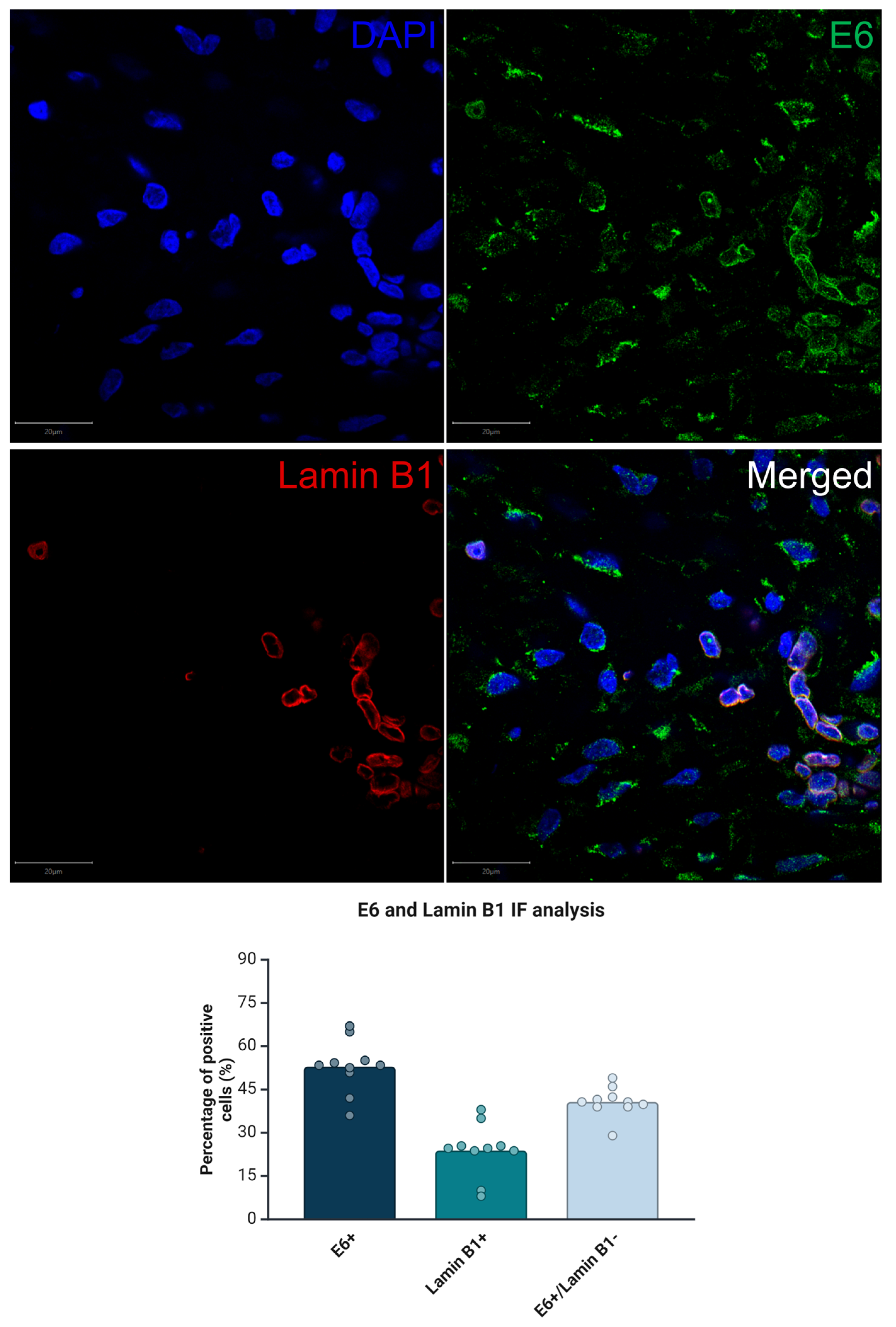 Cimb 46 00818 g004 Cimb 46 00818 g004