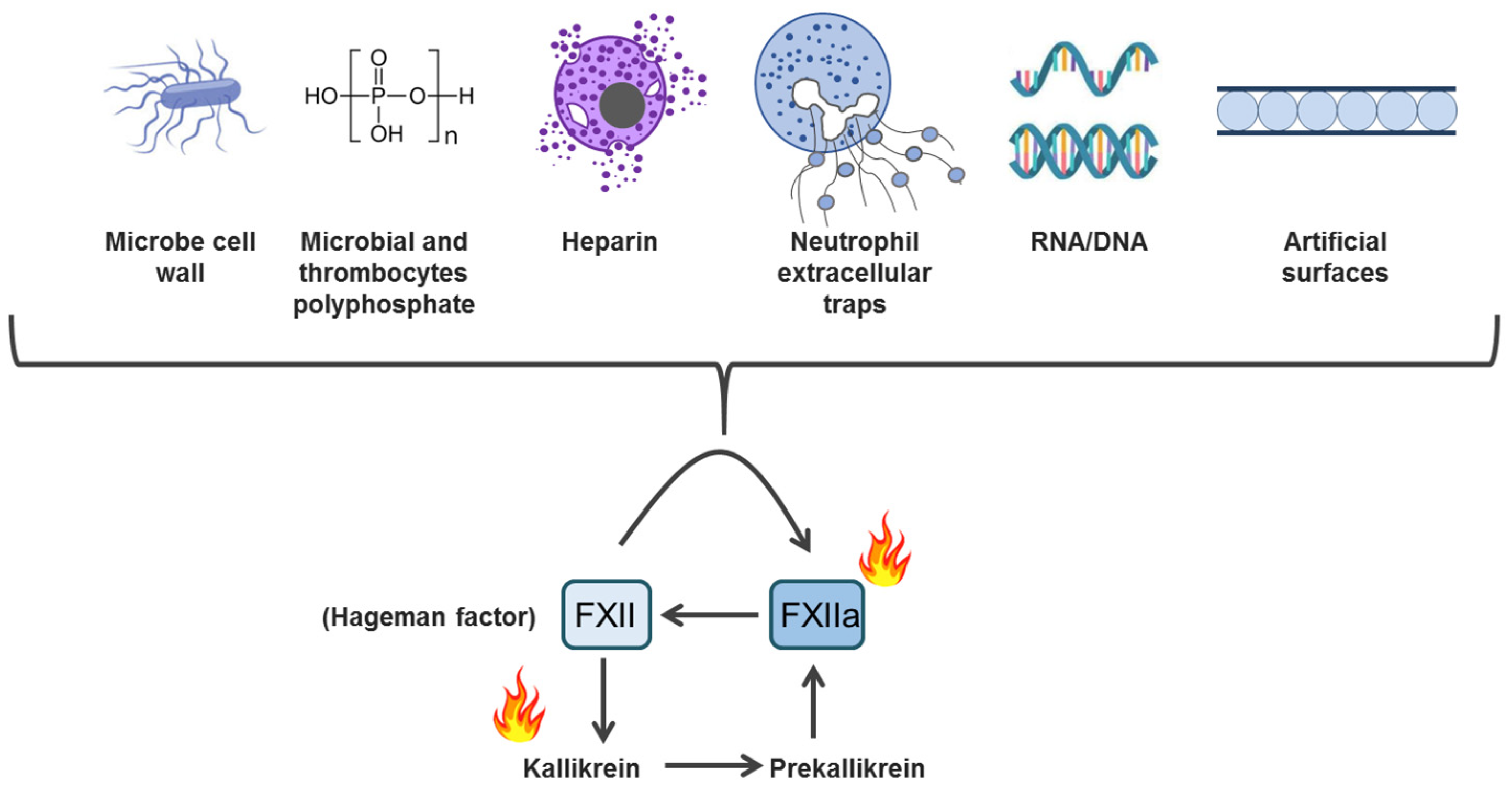 Cimb 47 00108 g002 Cimb 47 00108 g002