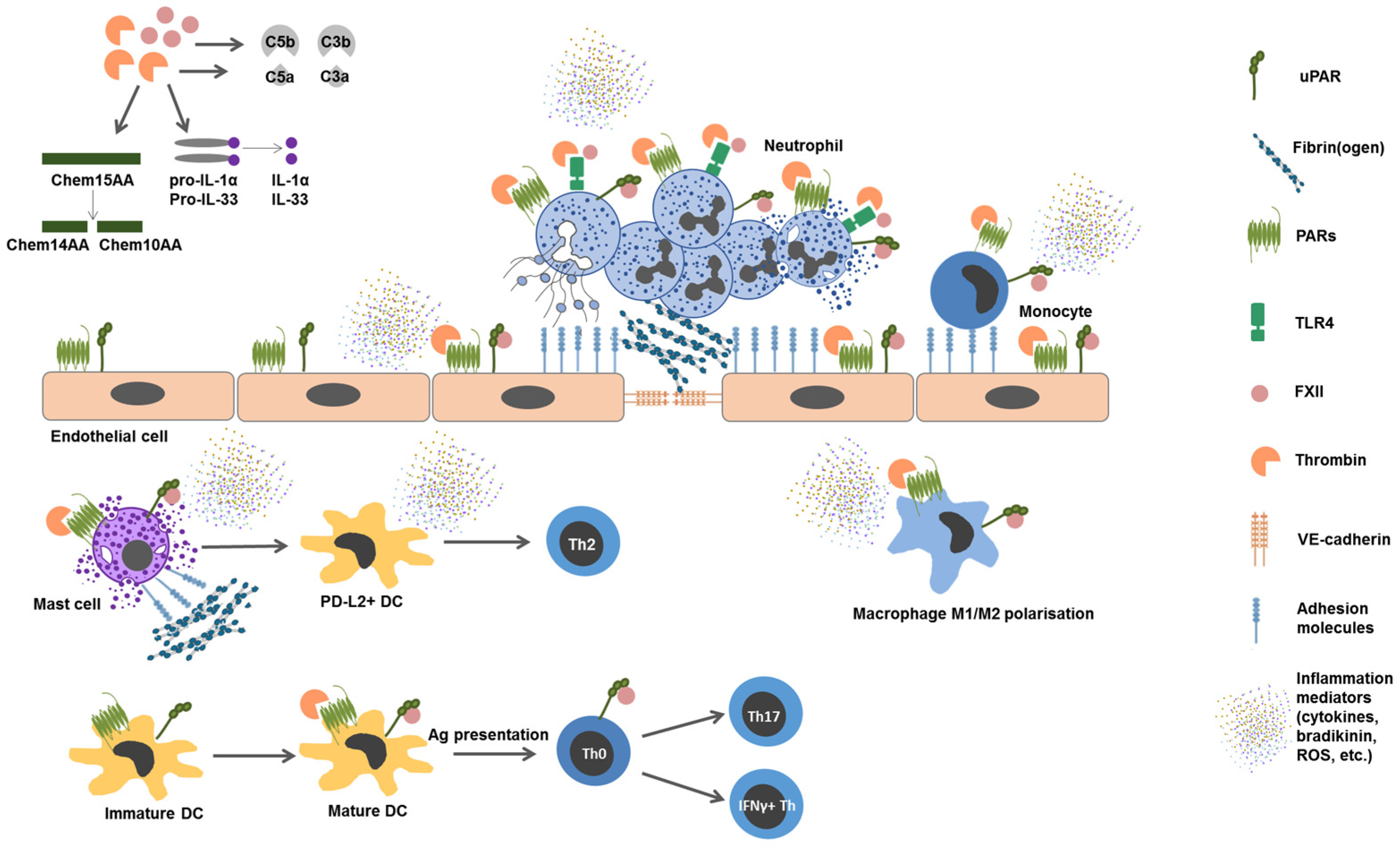 Cimb 47 00108 g003 Cimb 47 00108 g003