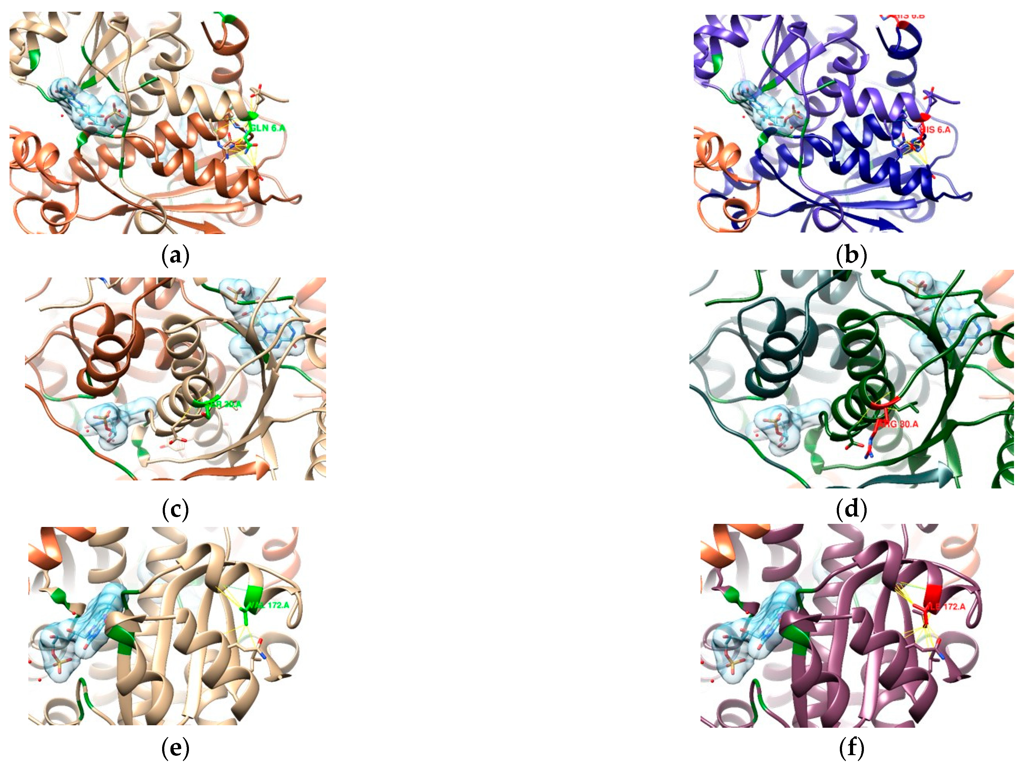 Cimb 47 00187 g009 Cimb 47 00187 g009