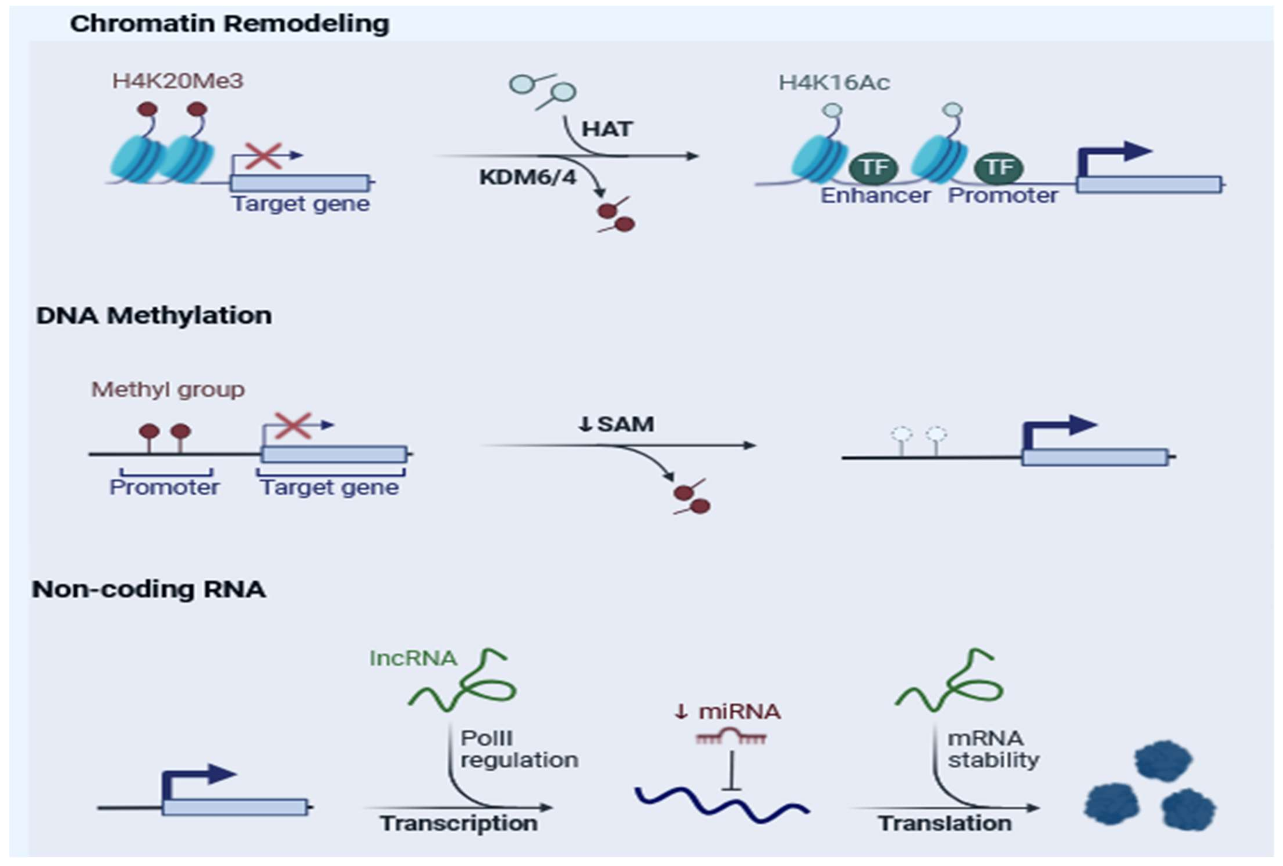 Cimb 47 00227 g002 Cimb 47 00227 g002