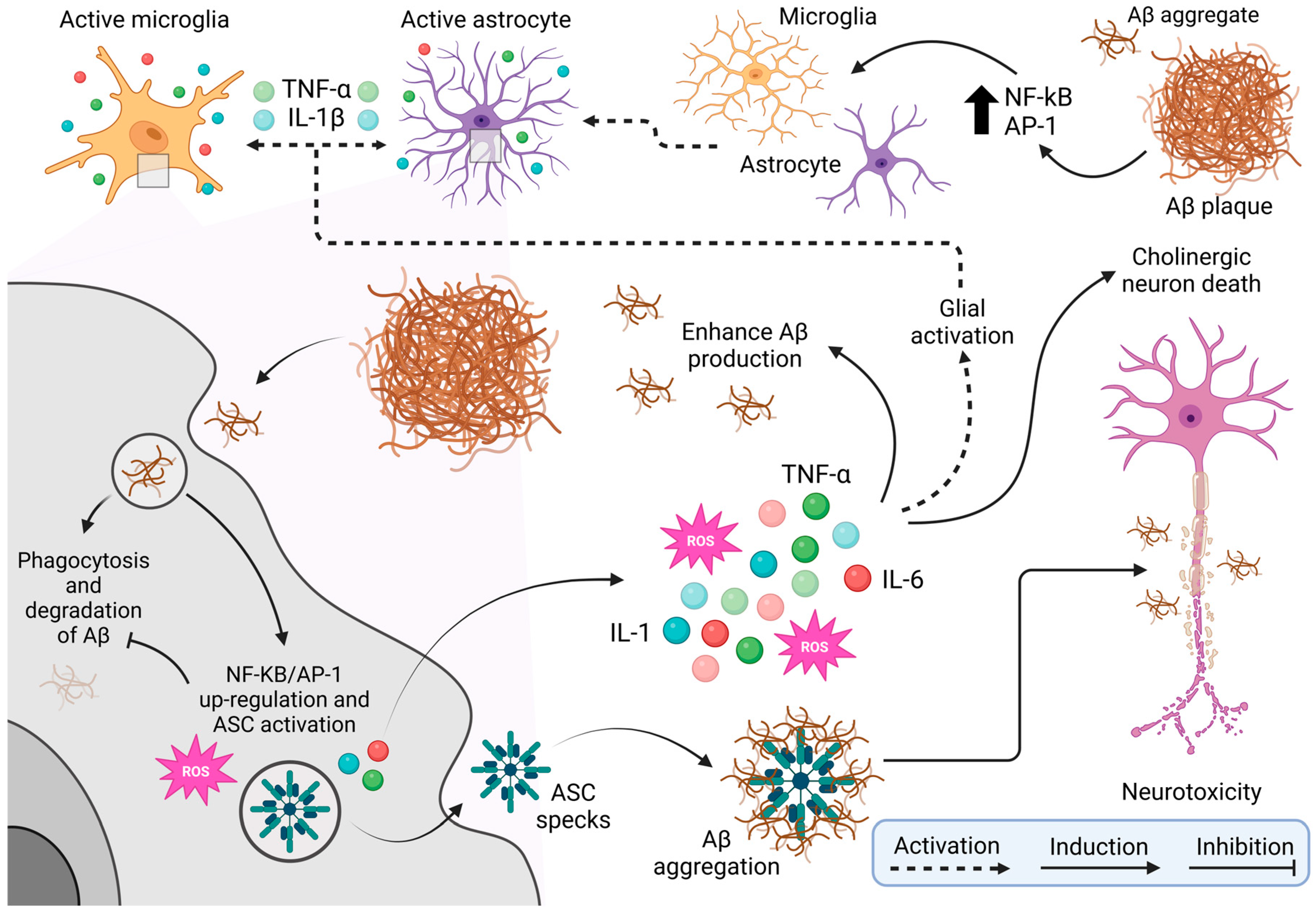 Cimb 47 00233 g003 Cimb 47 00233 g003